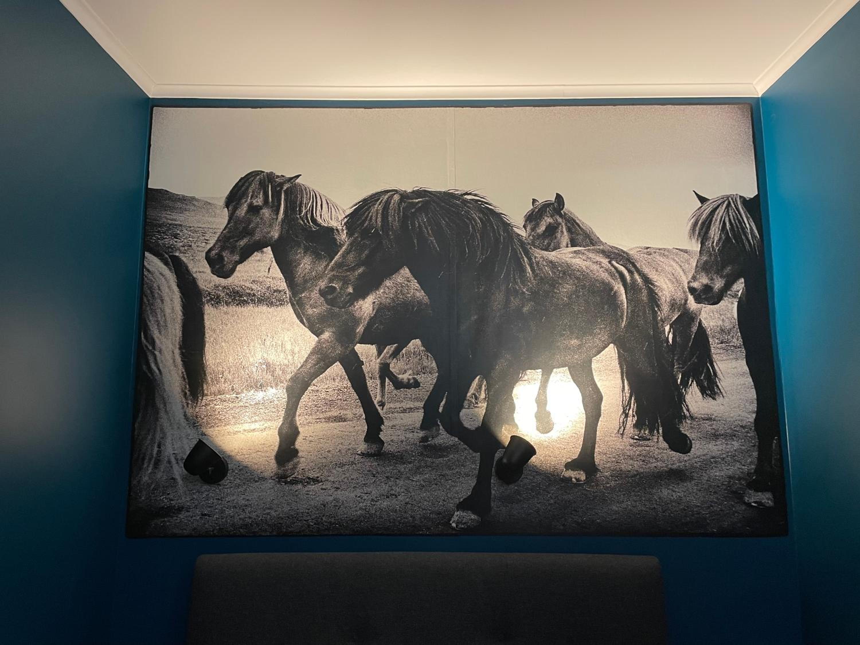 Apartament przy Ścieżce Kościelnej view 4