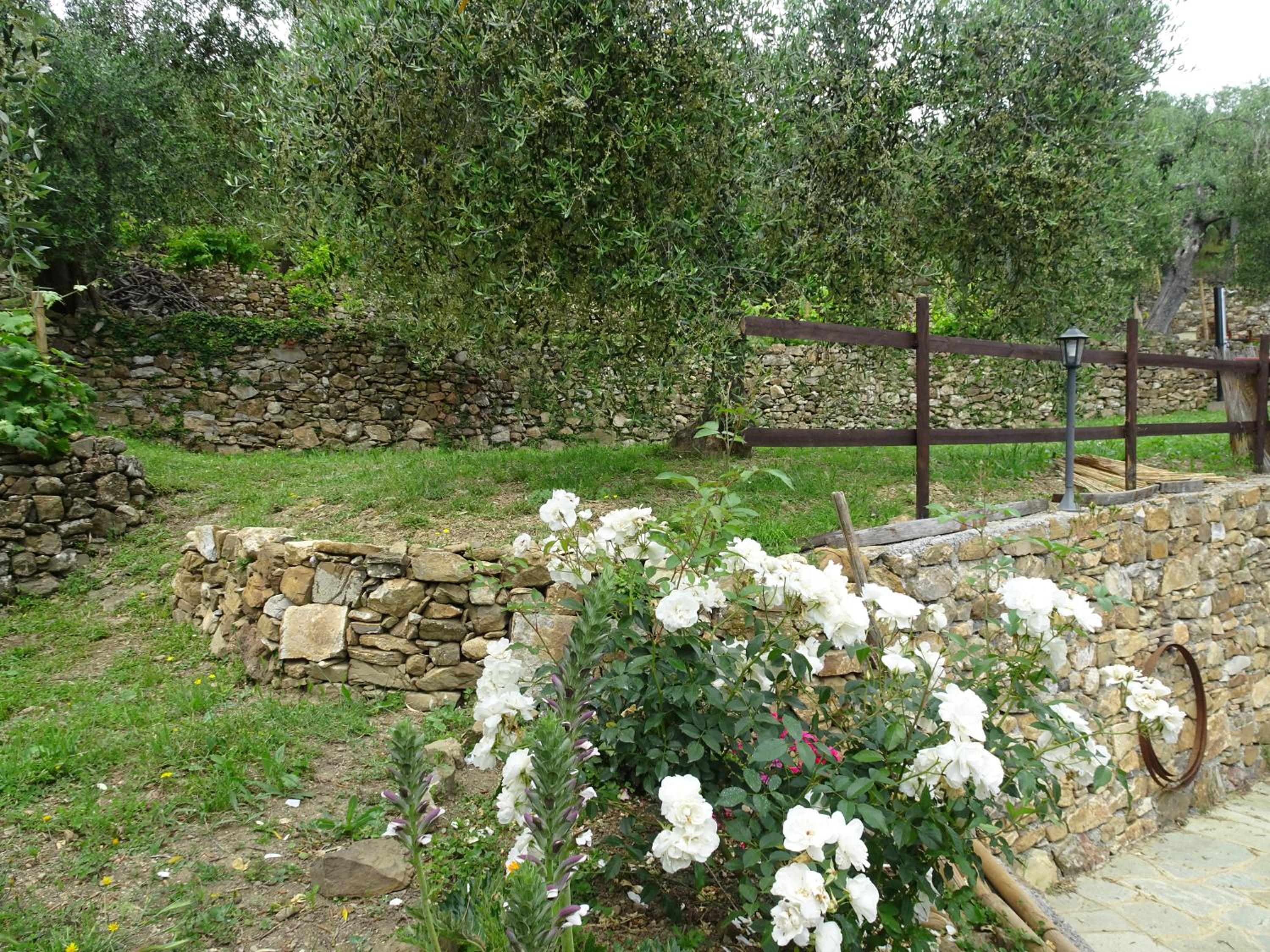 Le casasse