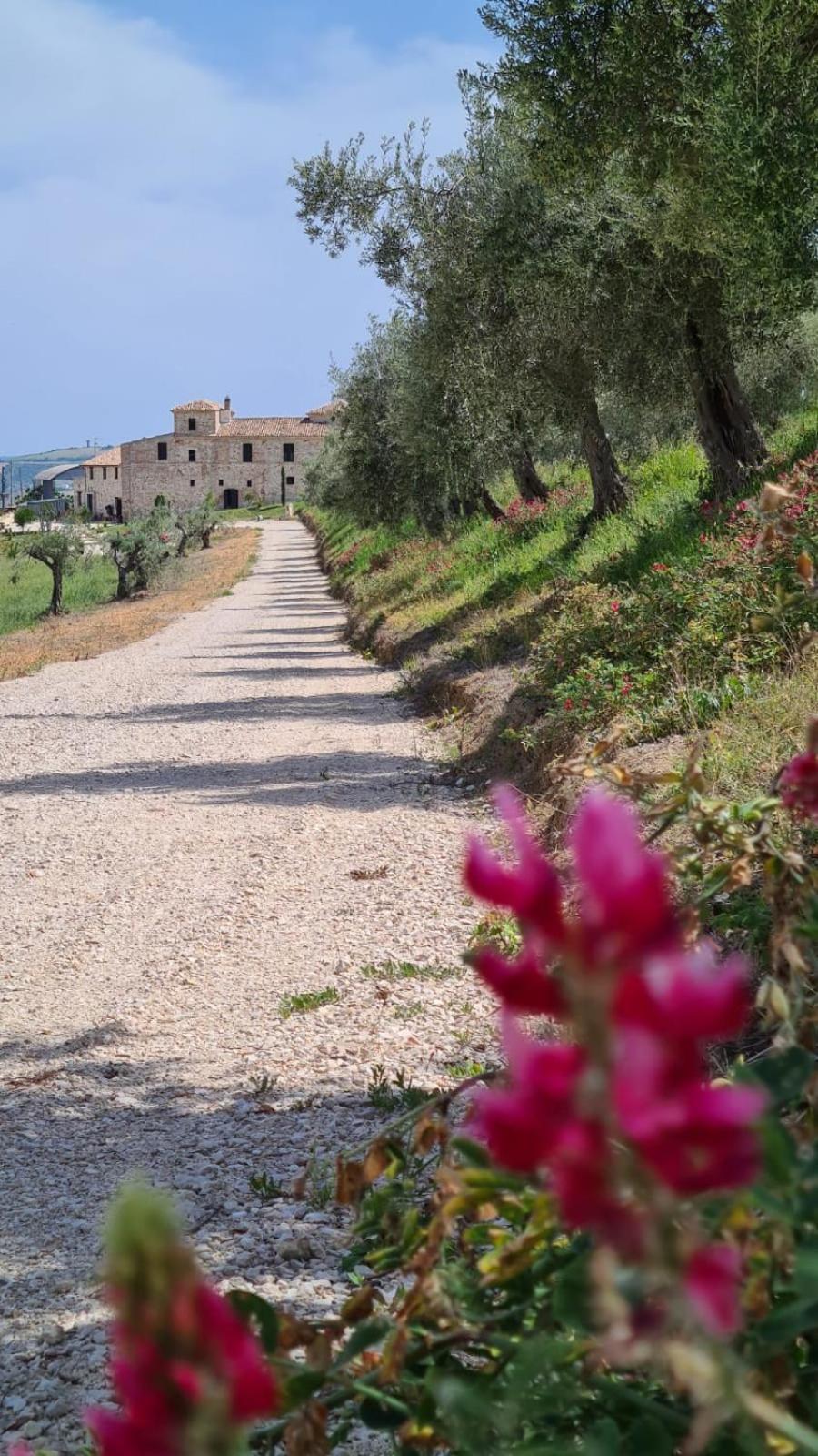 Castello di Petecciano B&B