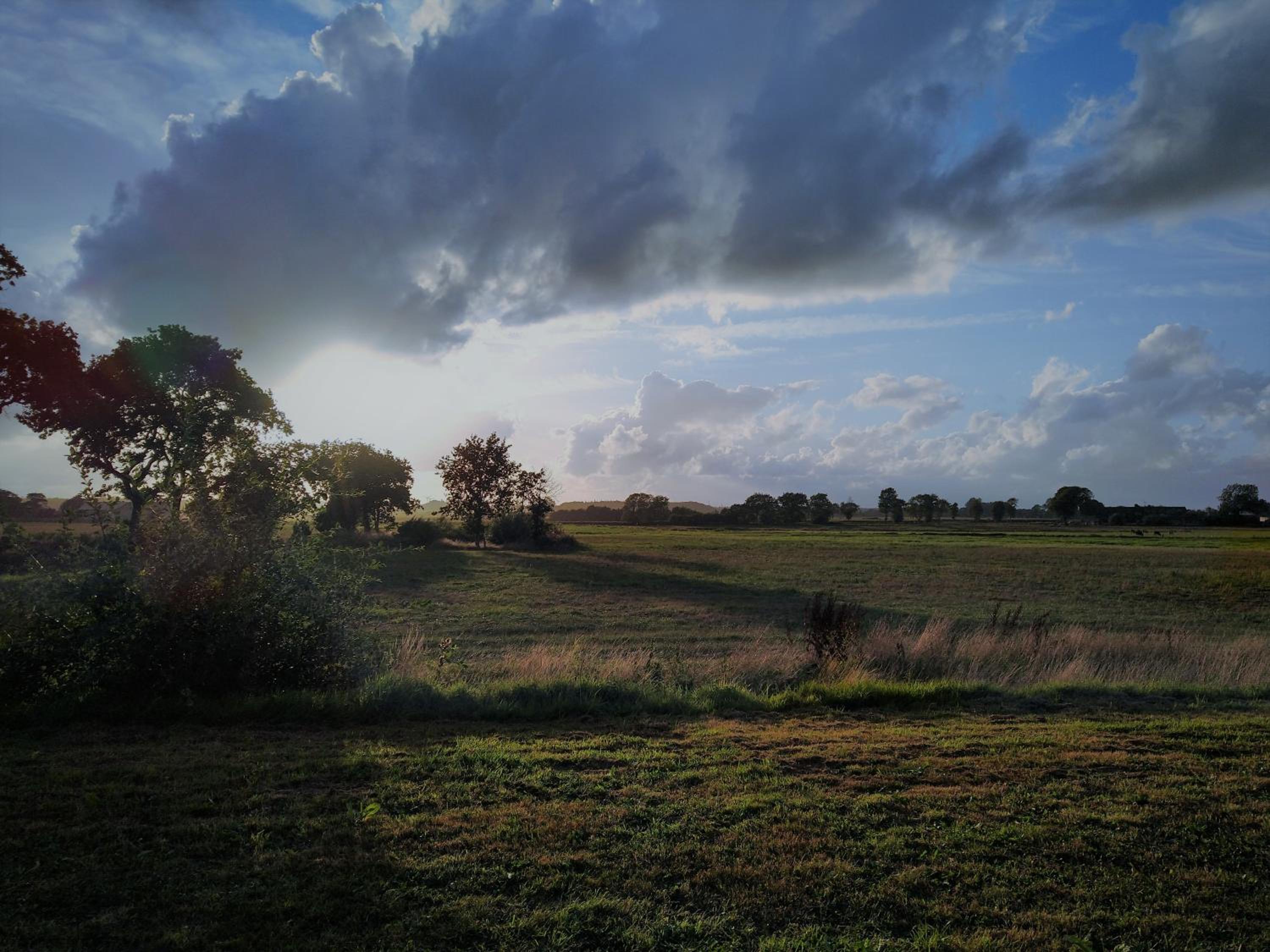 Photo 77