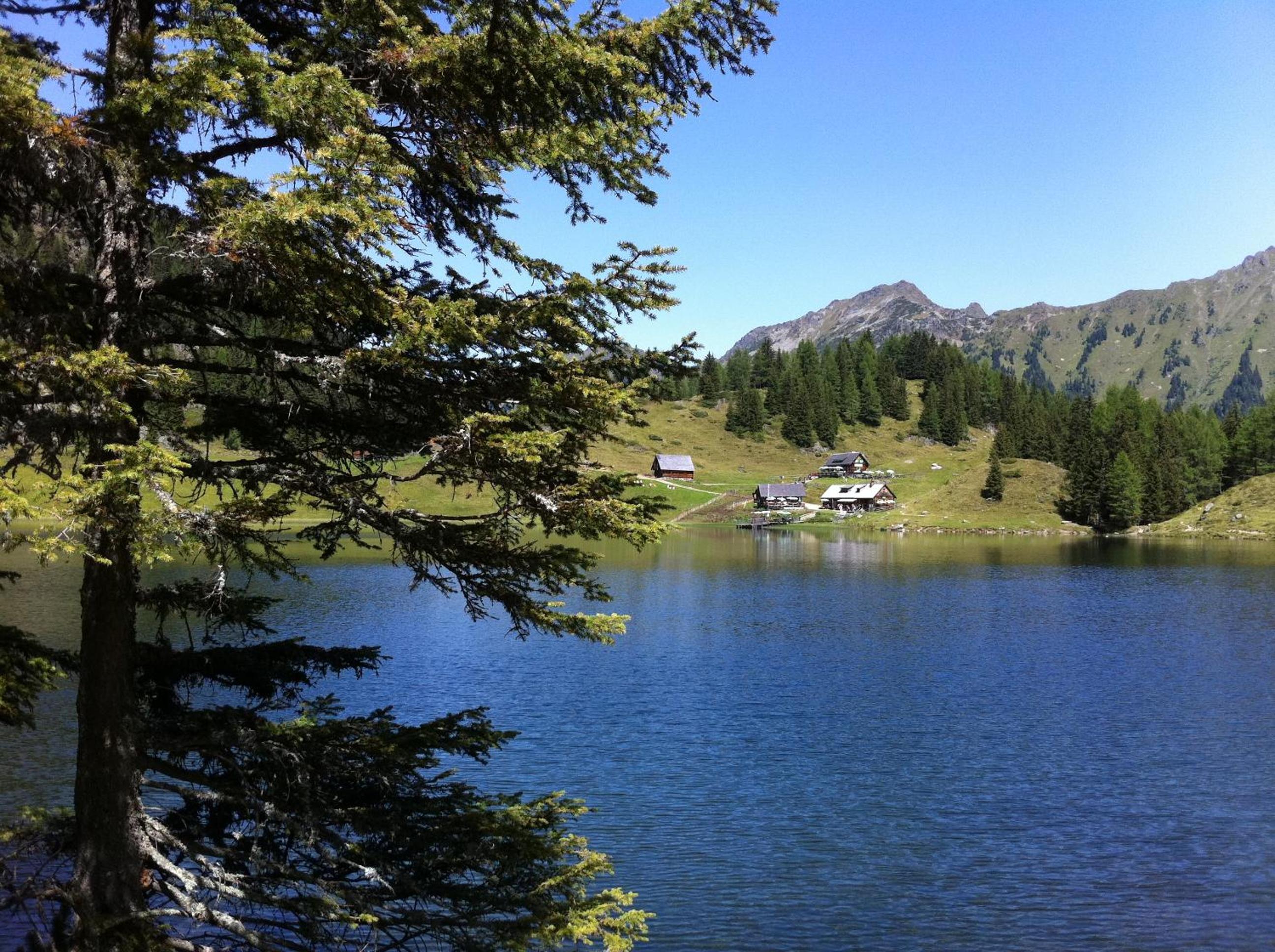Photo 15