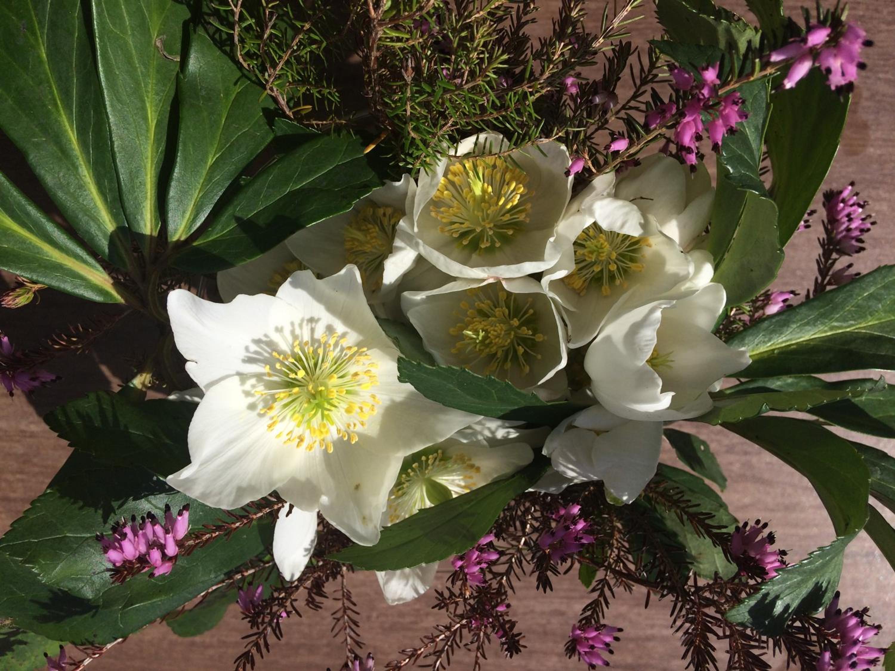 Photo 14
