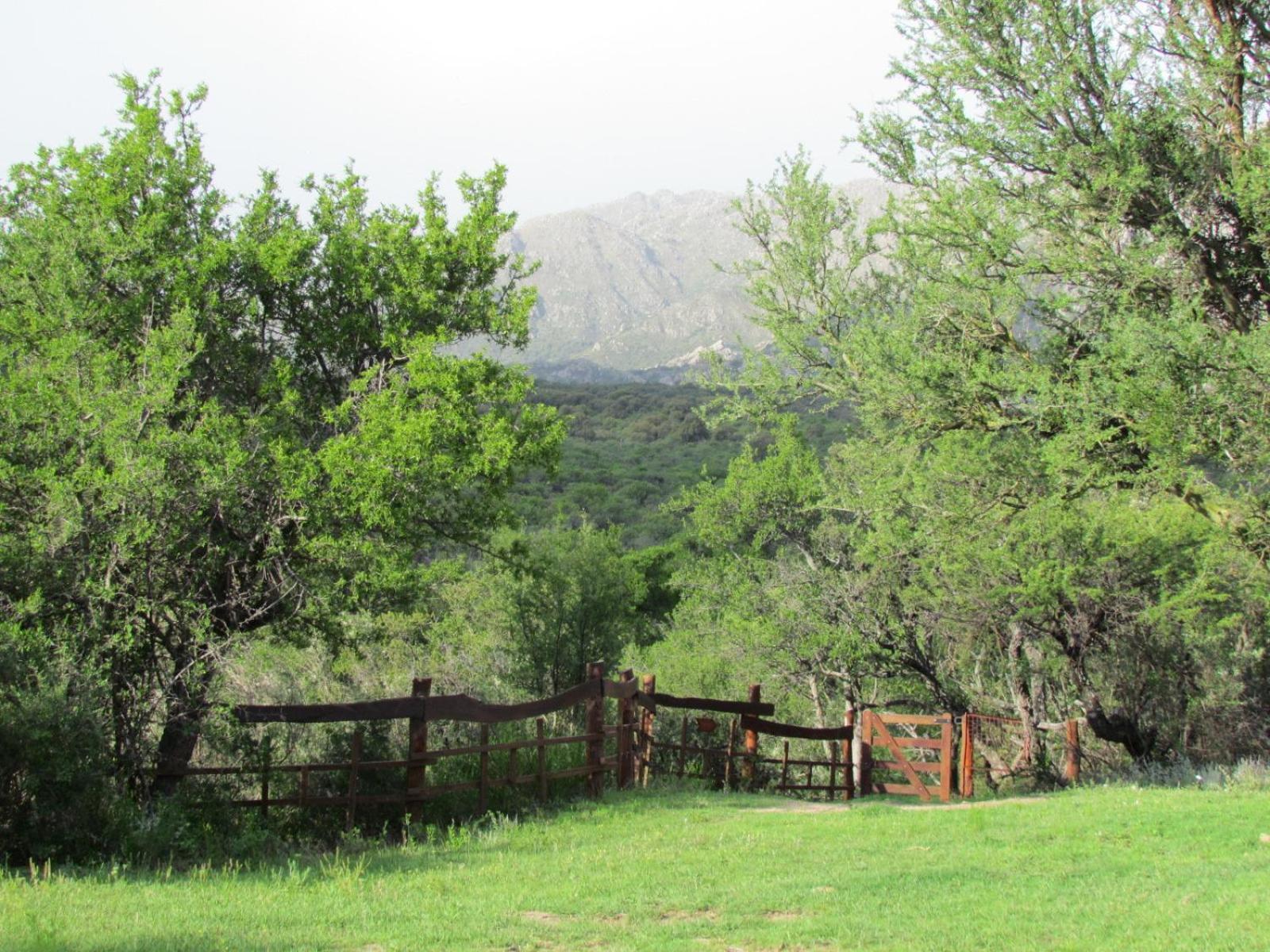 Cabañas de Montaña San Miguel