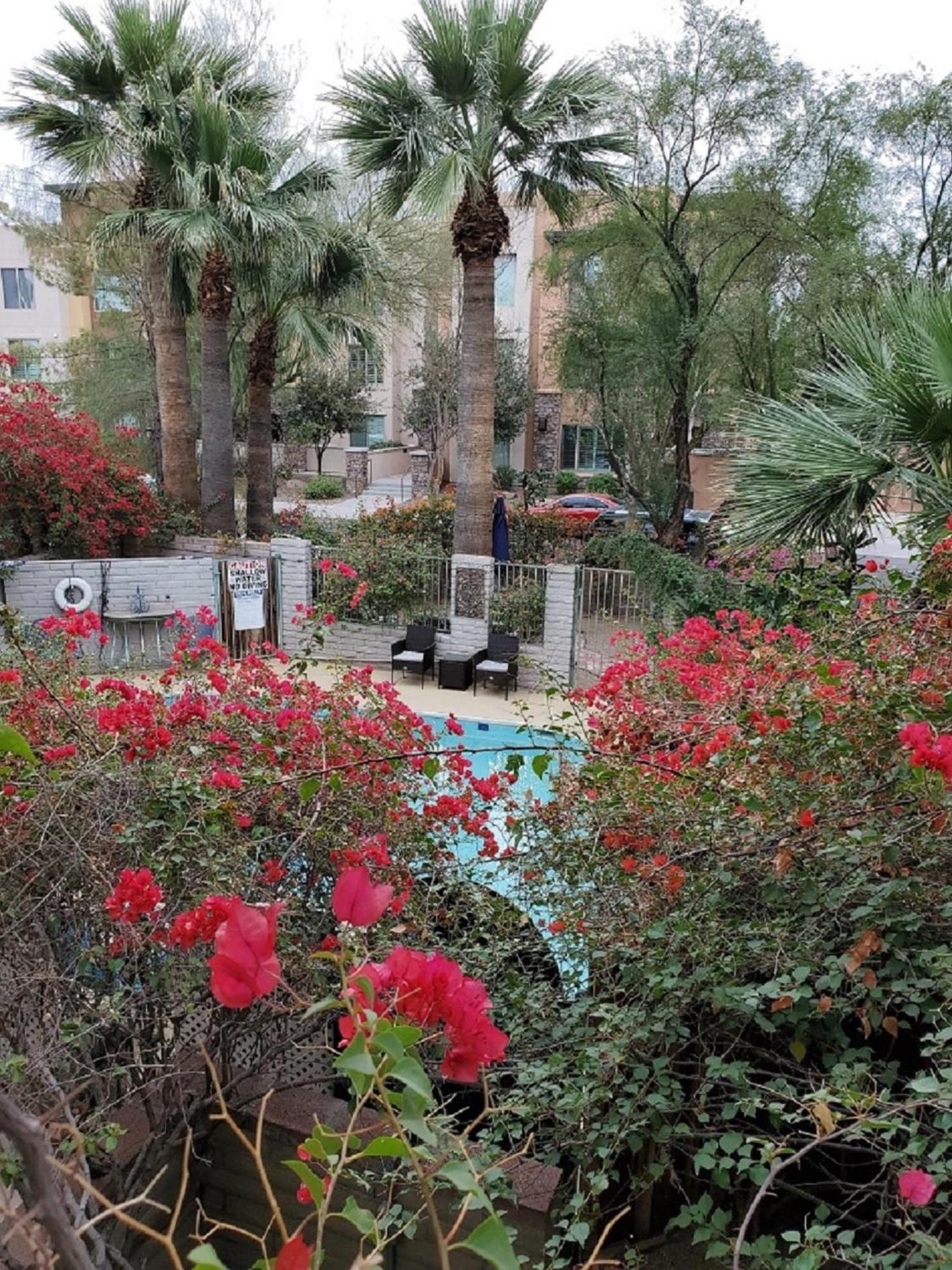 Desert Rose Villas - Secluded One Bedroom in Old Town Scottsdale, Arizona view 2
