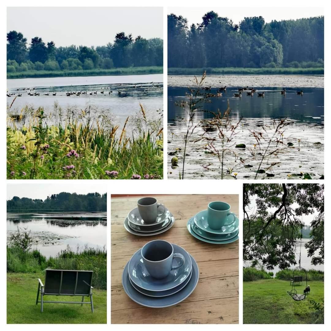 Casa WaMü Nature Reserve direkt am Altrhein view 3