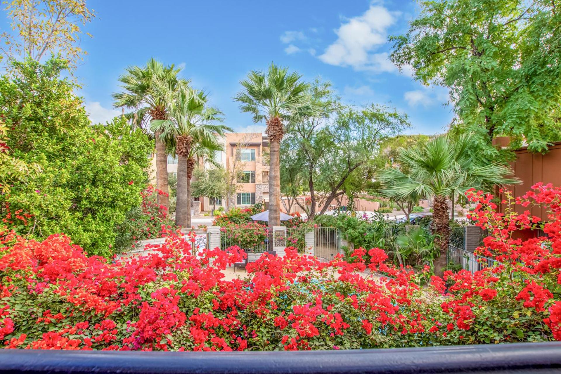 Desert Rose Villas - Secluded One Bedroom in Old Town Scottsdale, Arizona view 3