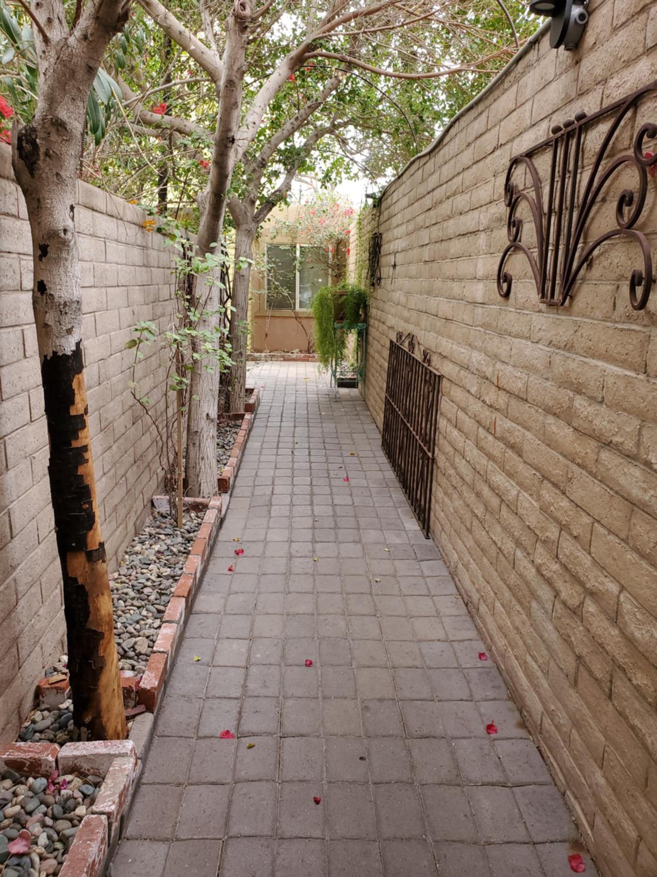 Photo 48