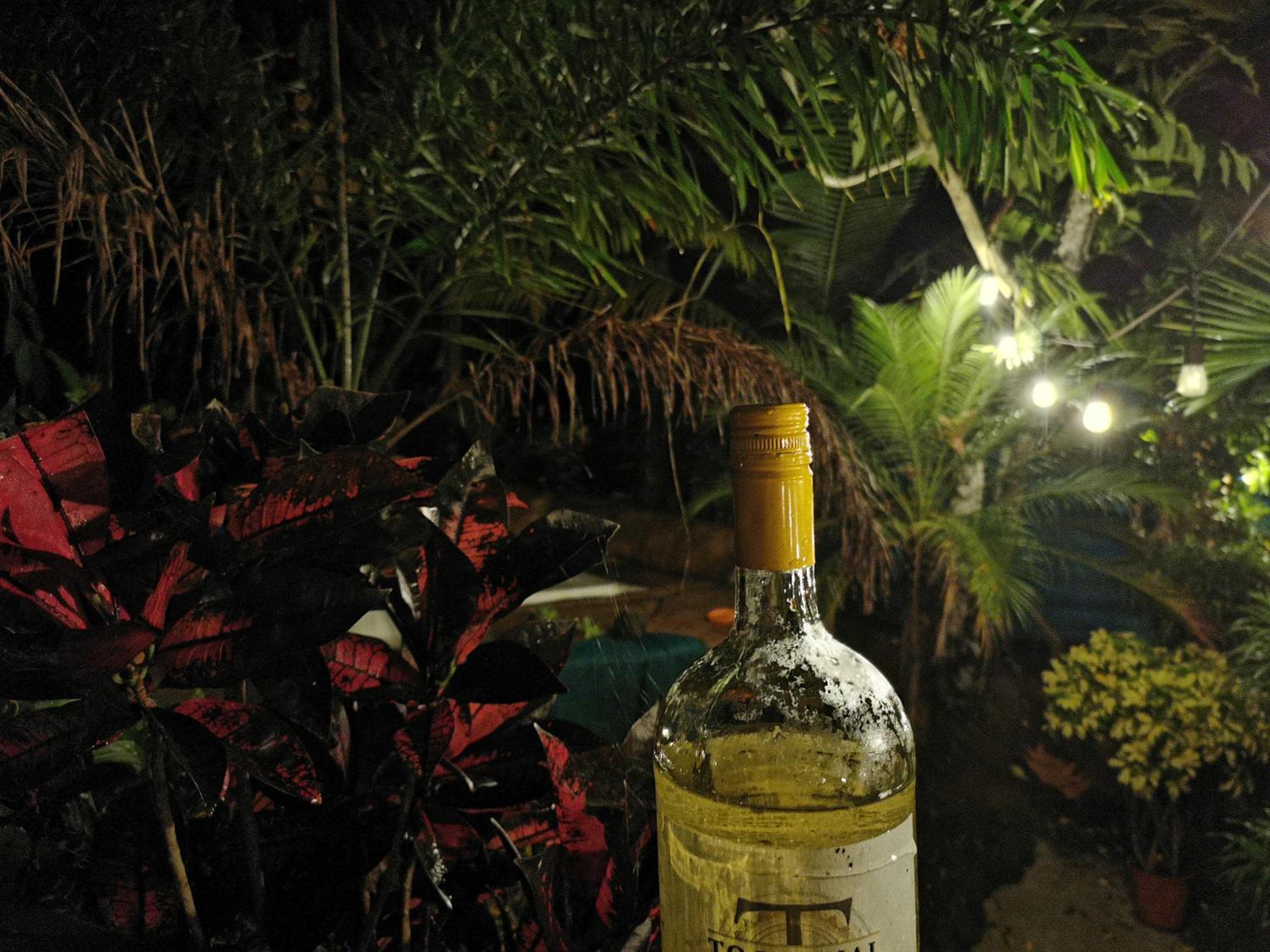 Photo 41