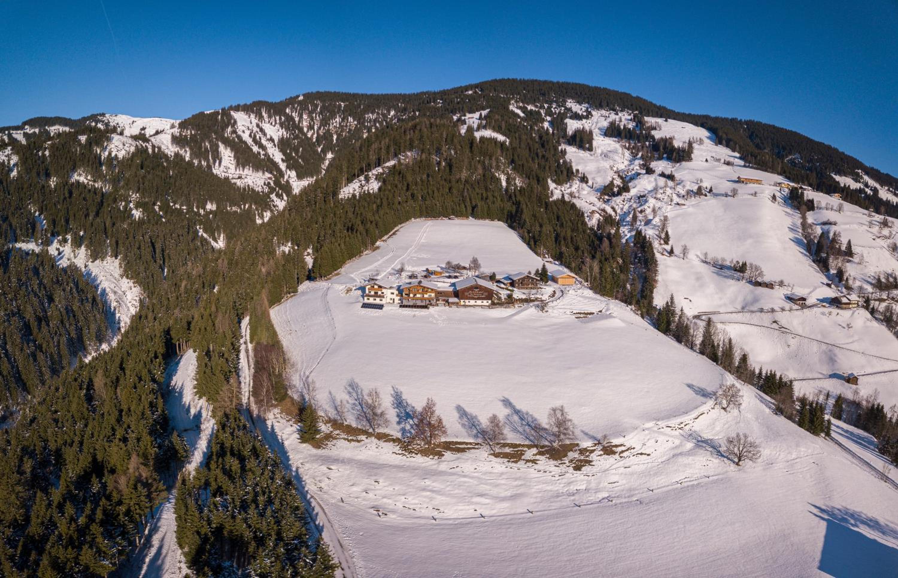 Bergbauernhof Familienparadies Oberhasenberghof view 3