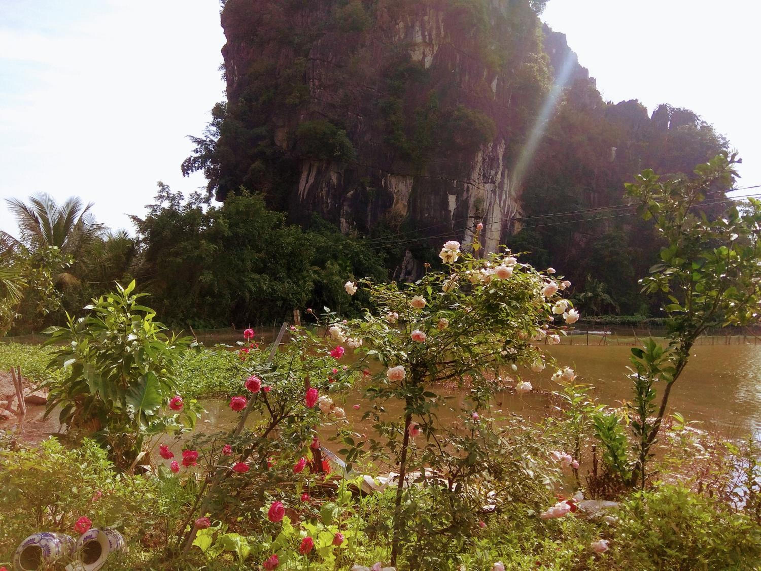 Tam Coc Eco Field Nest By ANMS GROUP