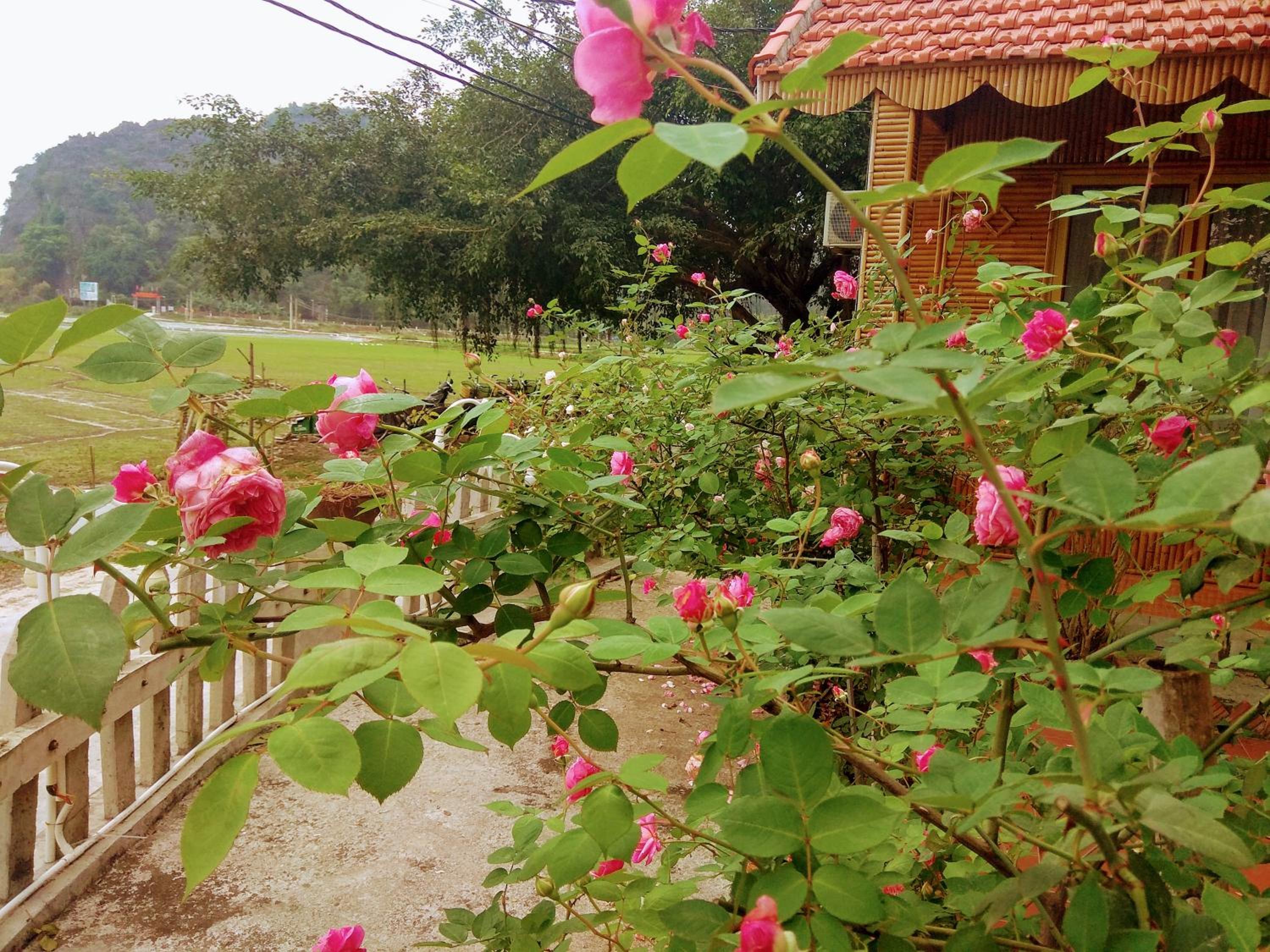Tam Coc Eco Field Nest By ANMS GROUP