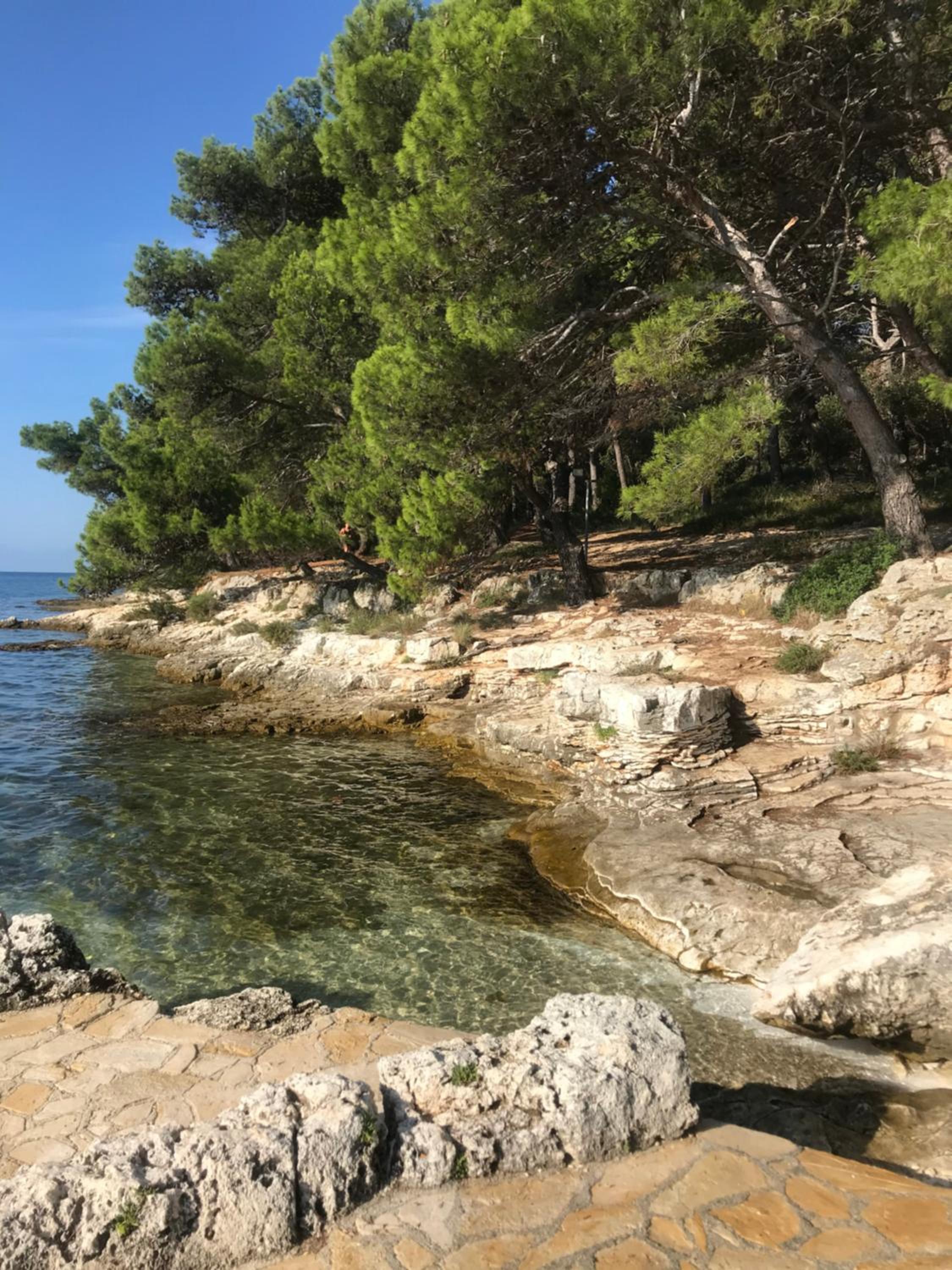 Istria Banjole