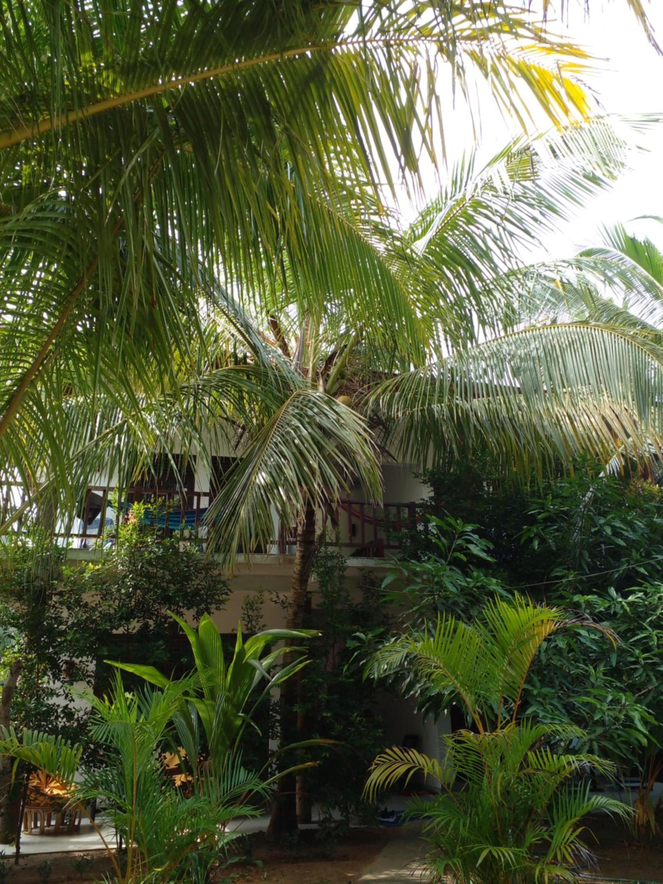 Little Sunshine Guest House & Restaurant view 3