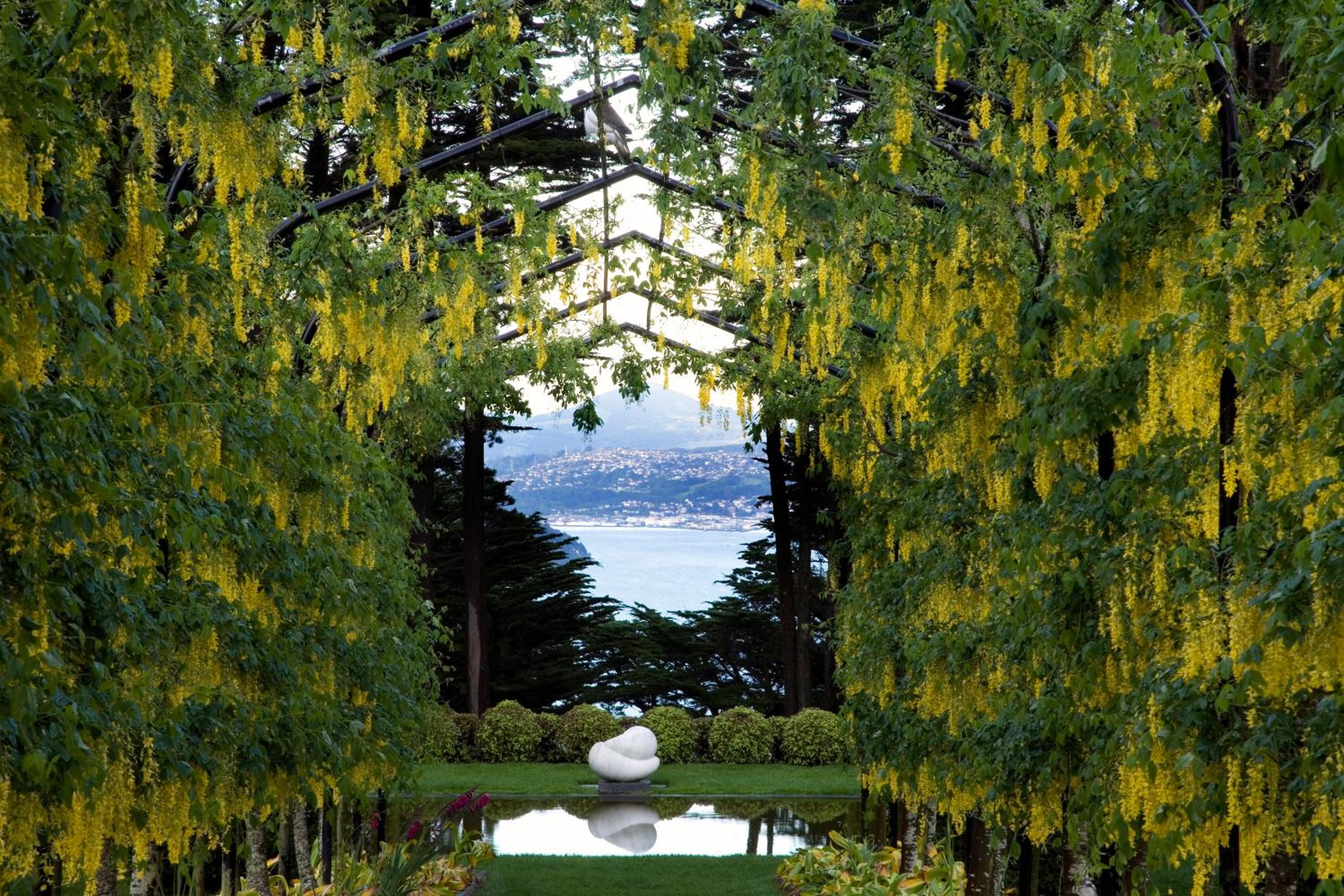 Larnach Lodge & Stable Stay view 2