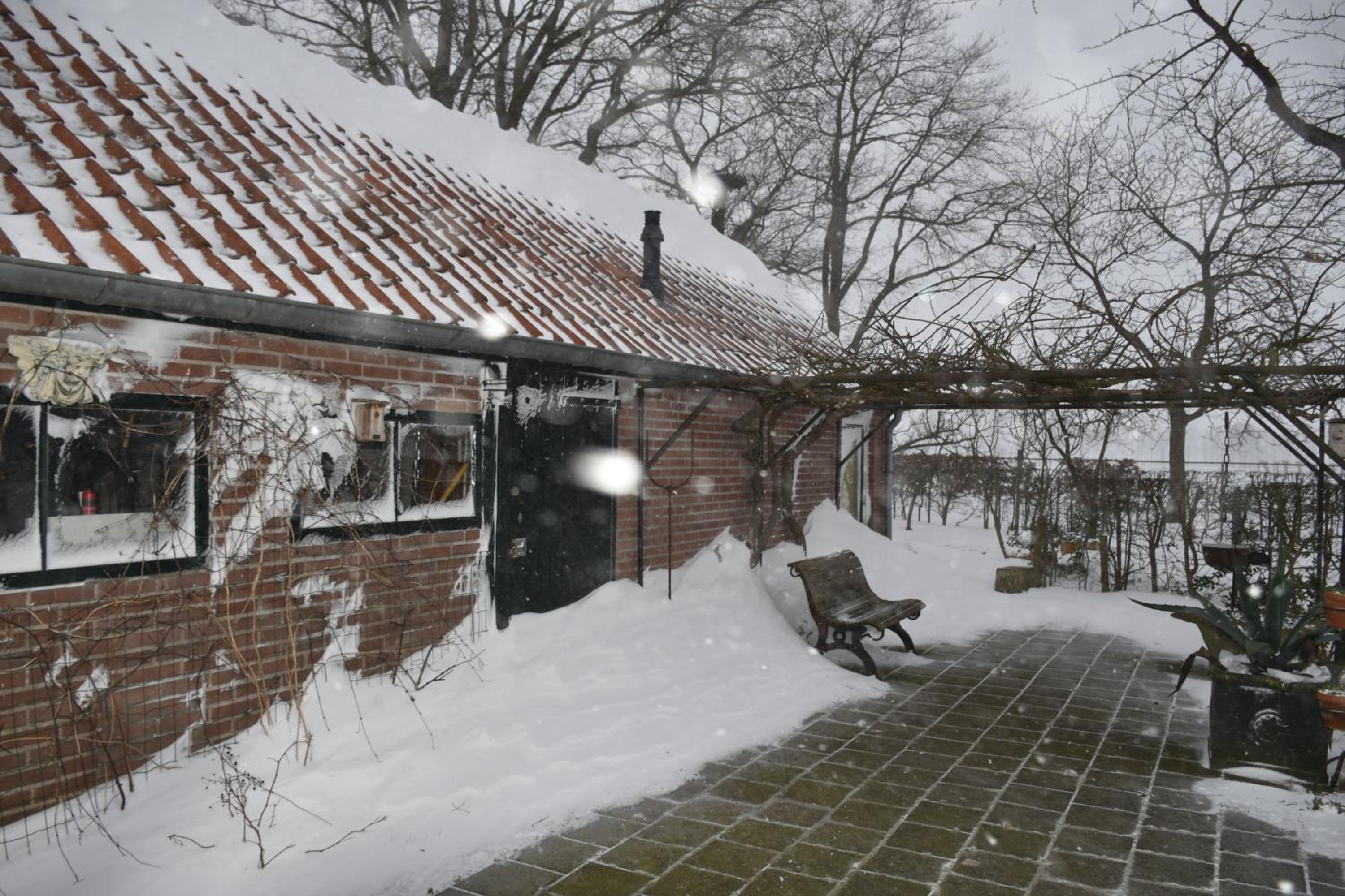 Photo 42