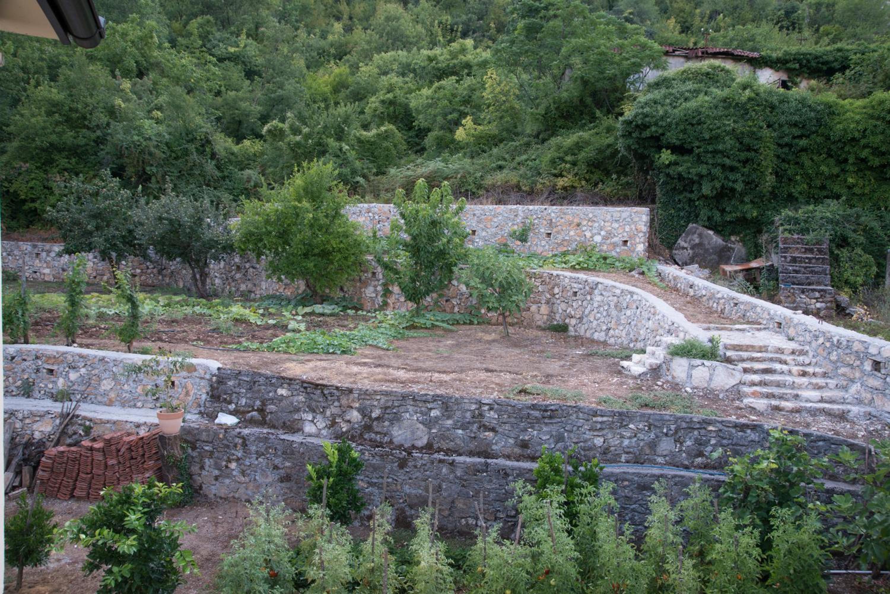 Photo 12