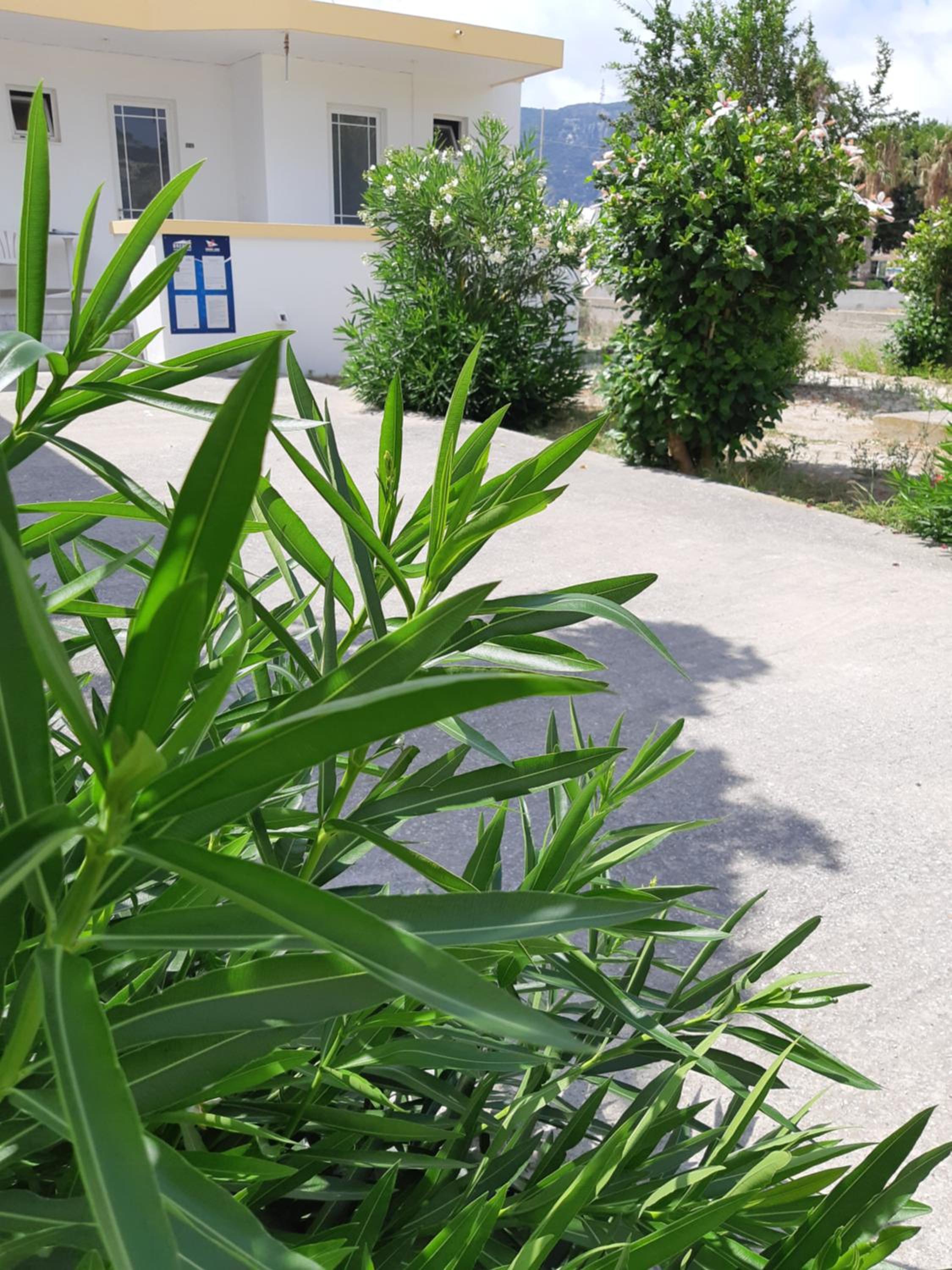 Hotel POLITIS STUDIOS - Image 1