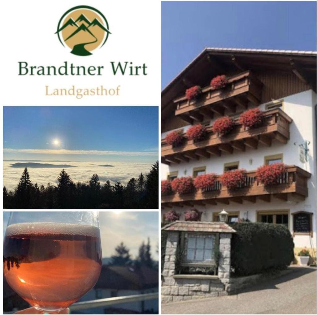 Landgasthof Brandtner Wirt - Property Image 30