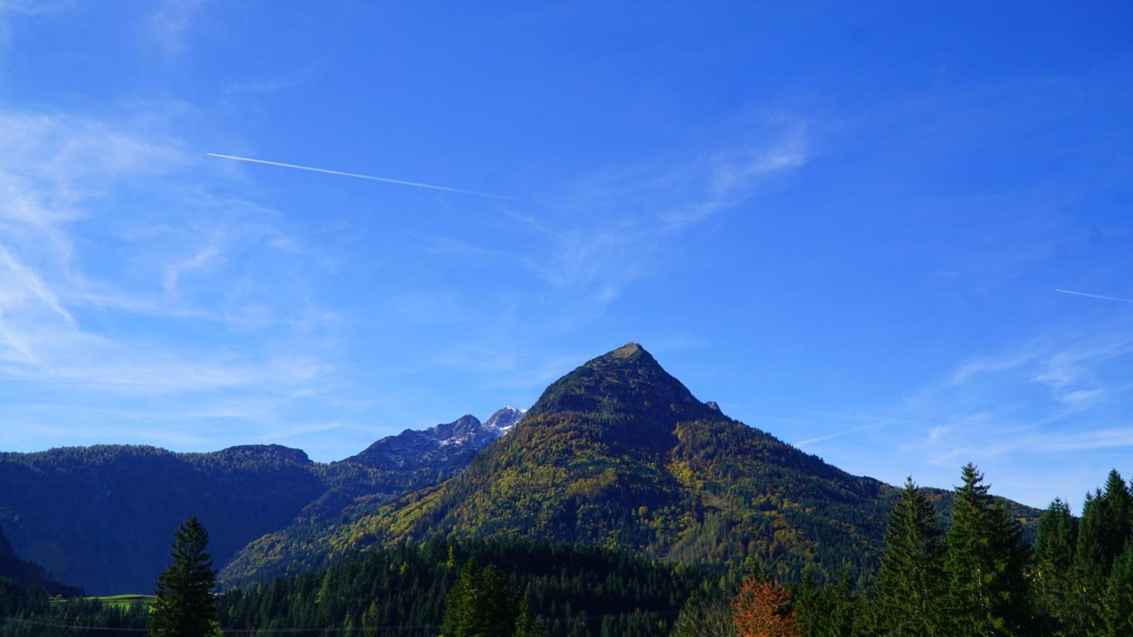 Ferienwohnung Sonnenwald