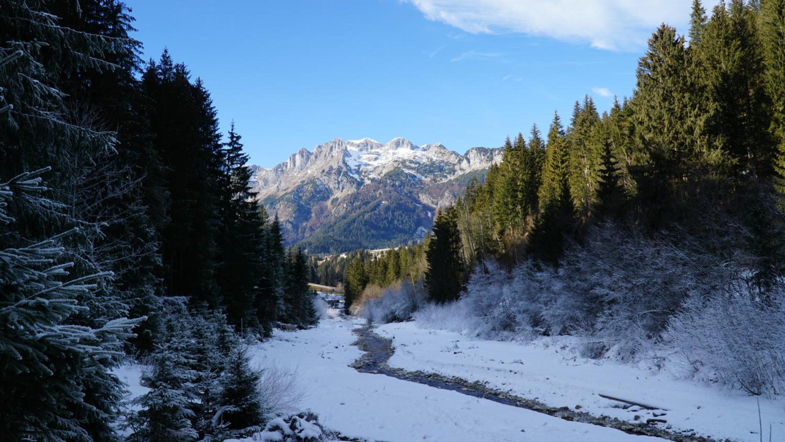 Ferienwohnung Sonnenwald