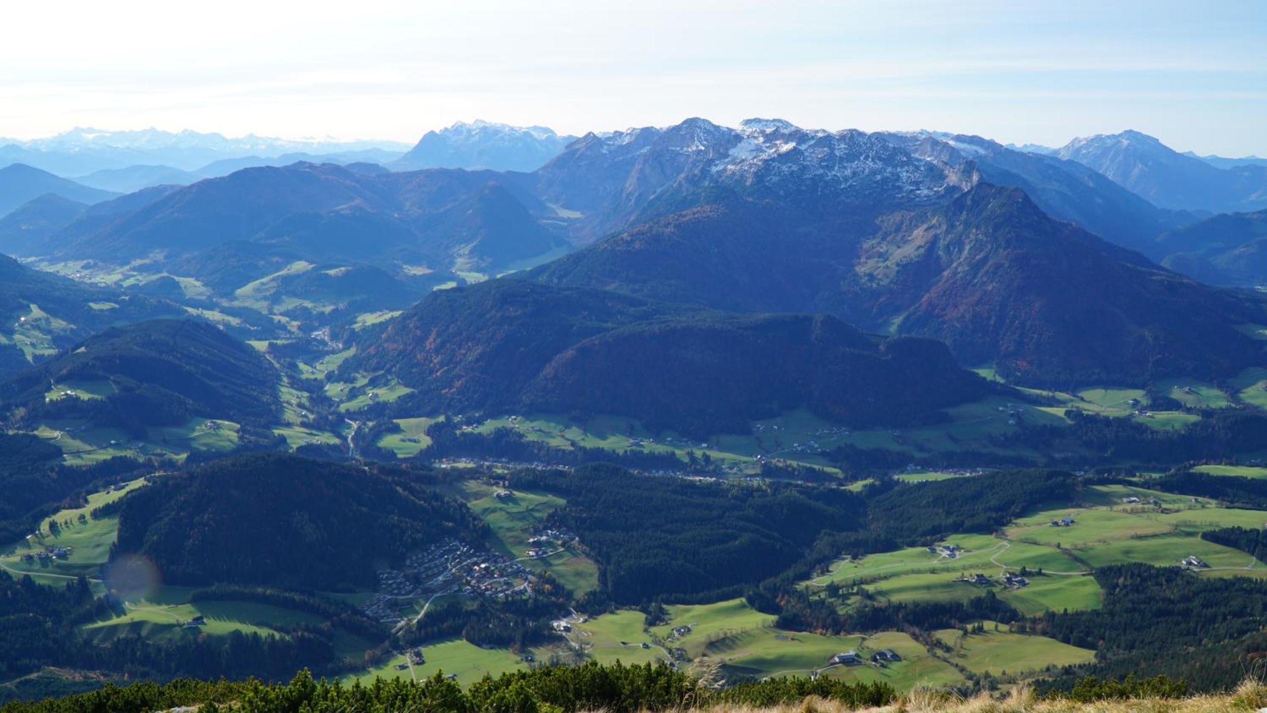 Ferienwohnung Sonnenwald