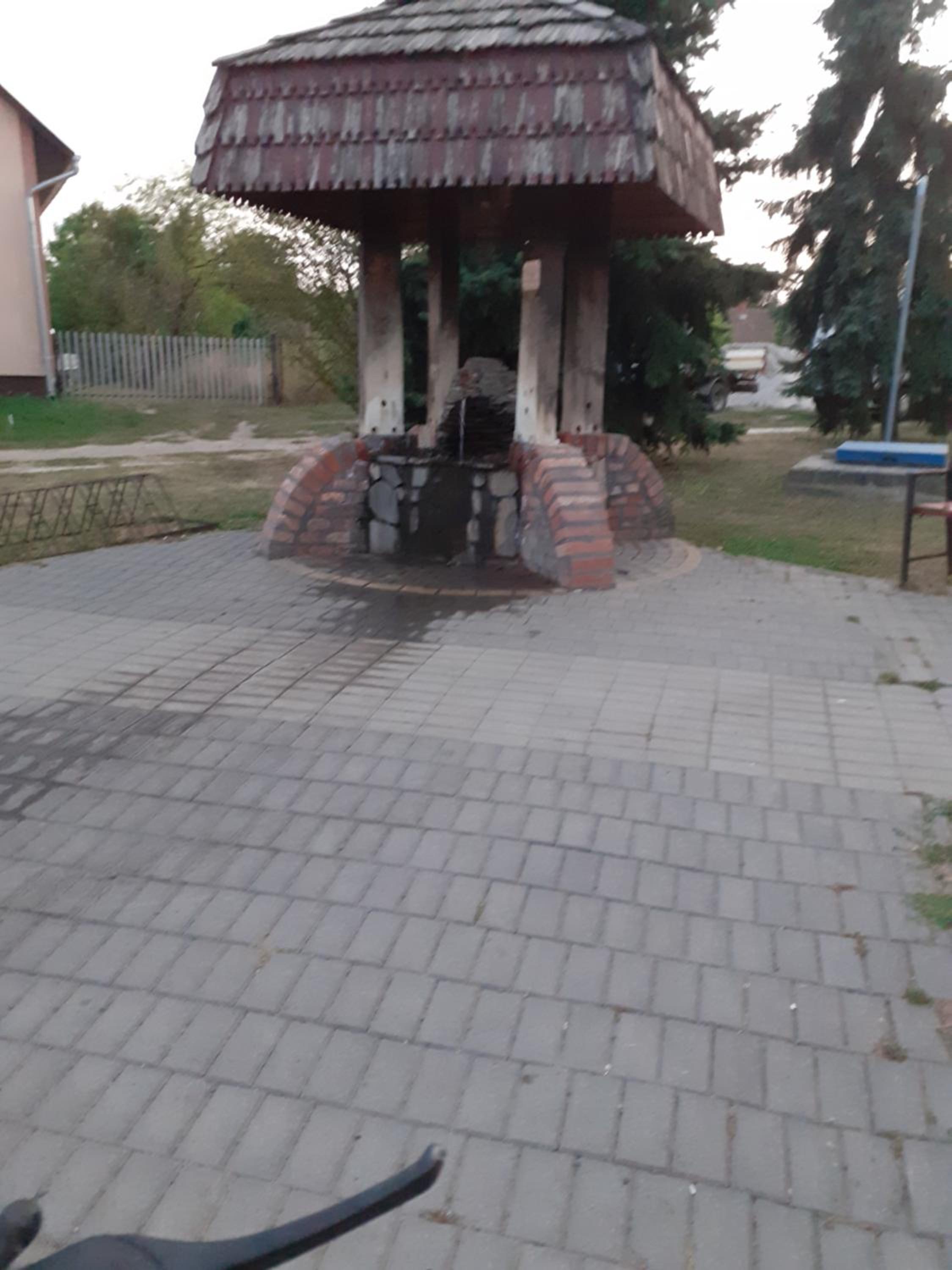 Photo 7