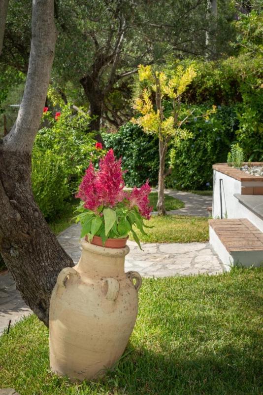 B&b La Giara