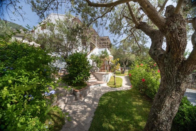 B&b La Giara
