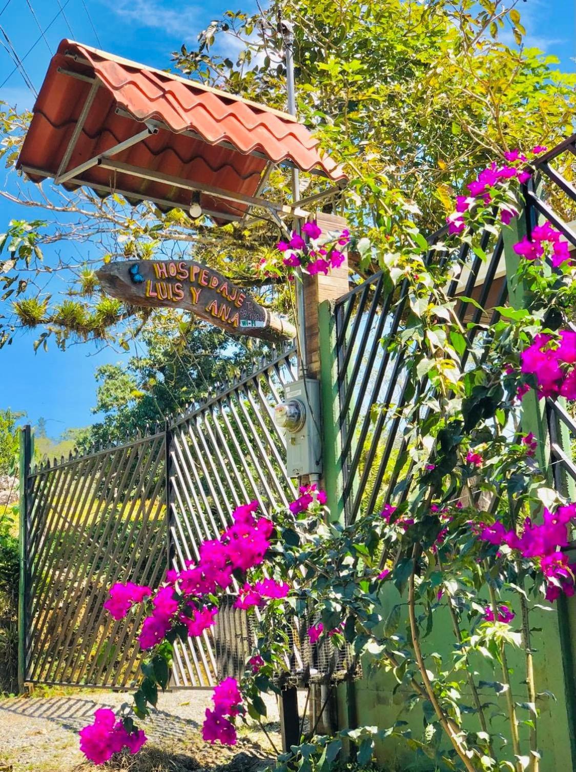 Hotel Hospedaje Luis & Ana - Image 1