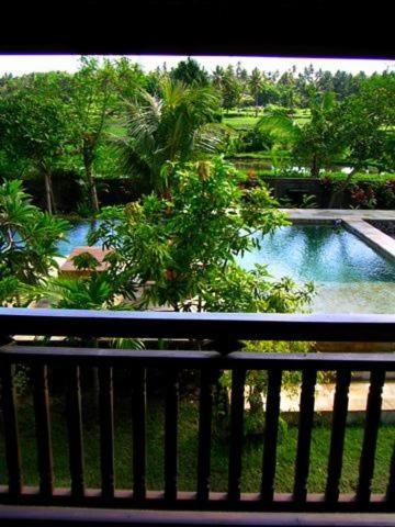 Singko Lovina view 2