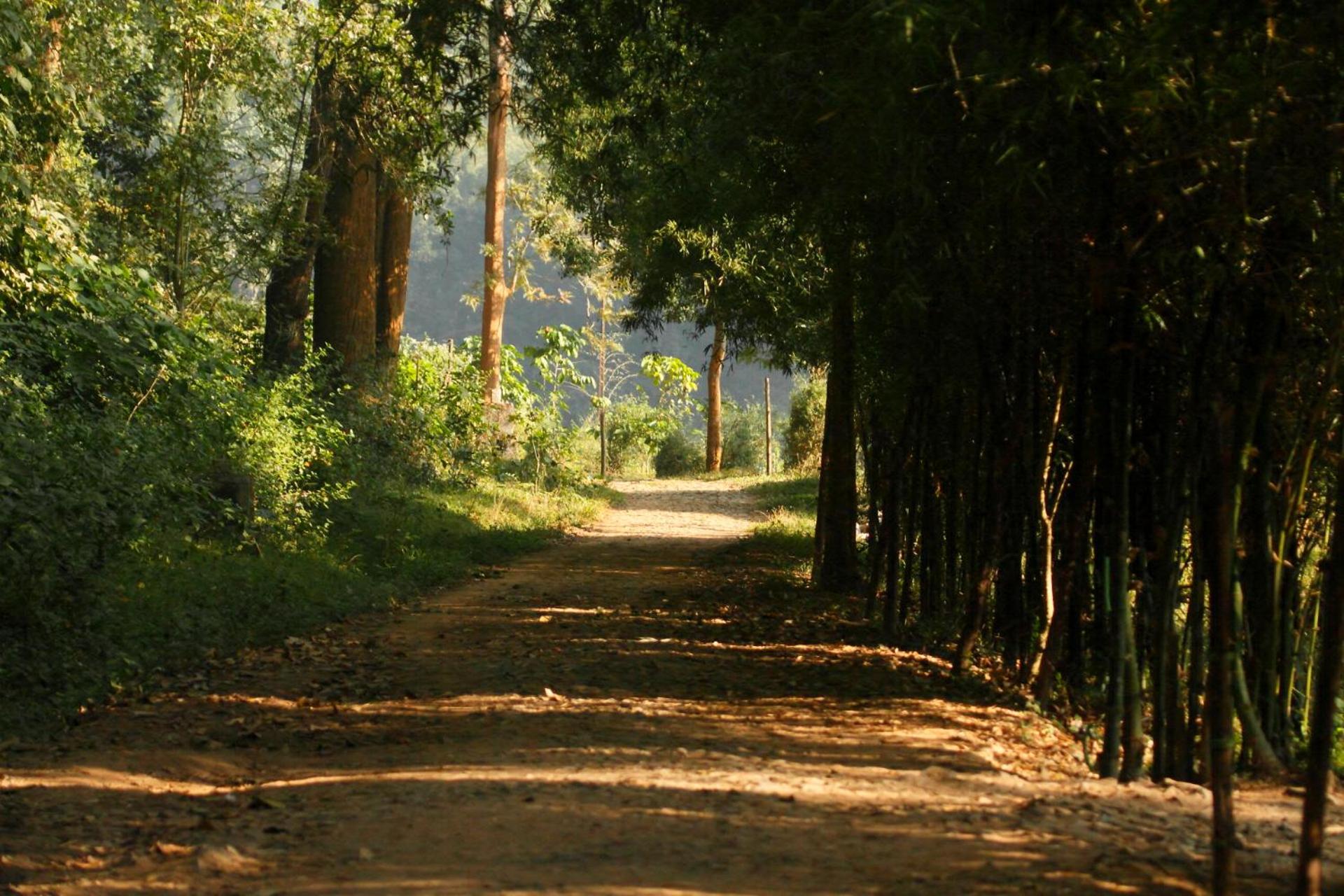 Photo 20