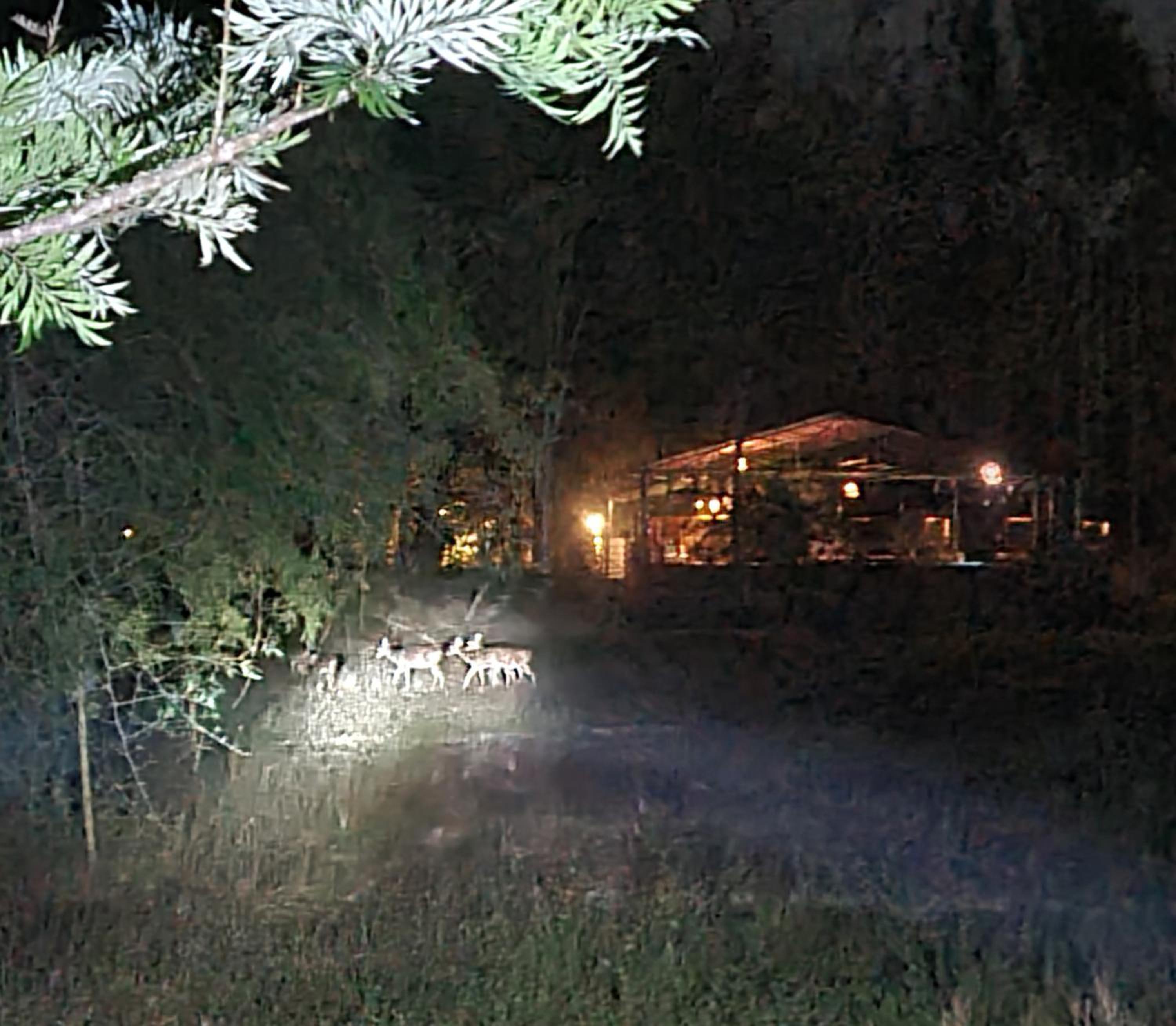 Photo 32