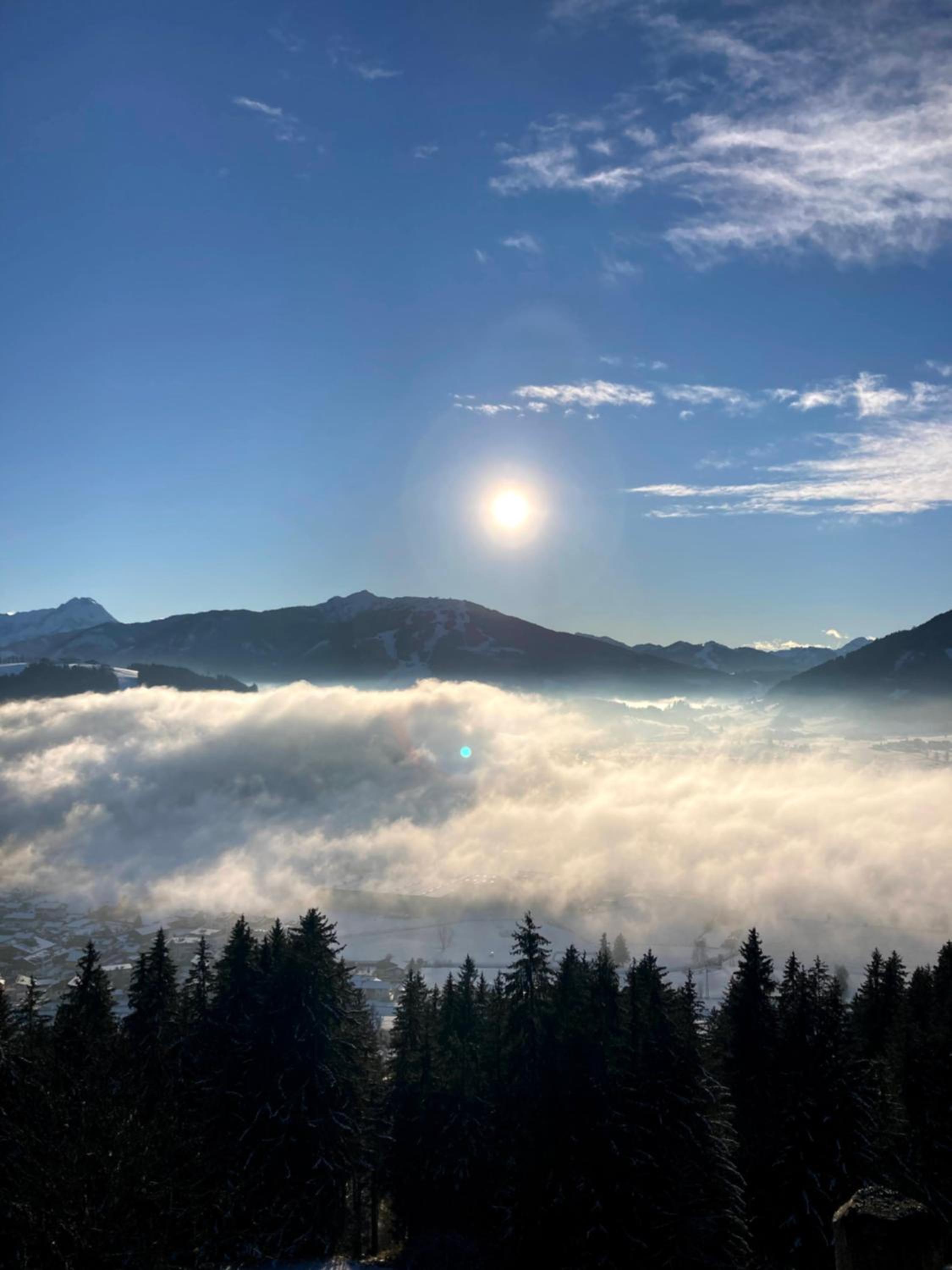 Heissgut