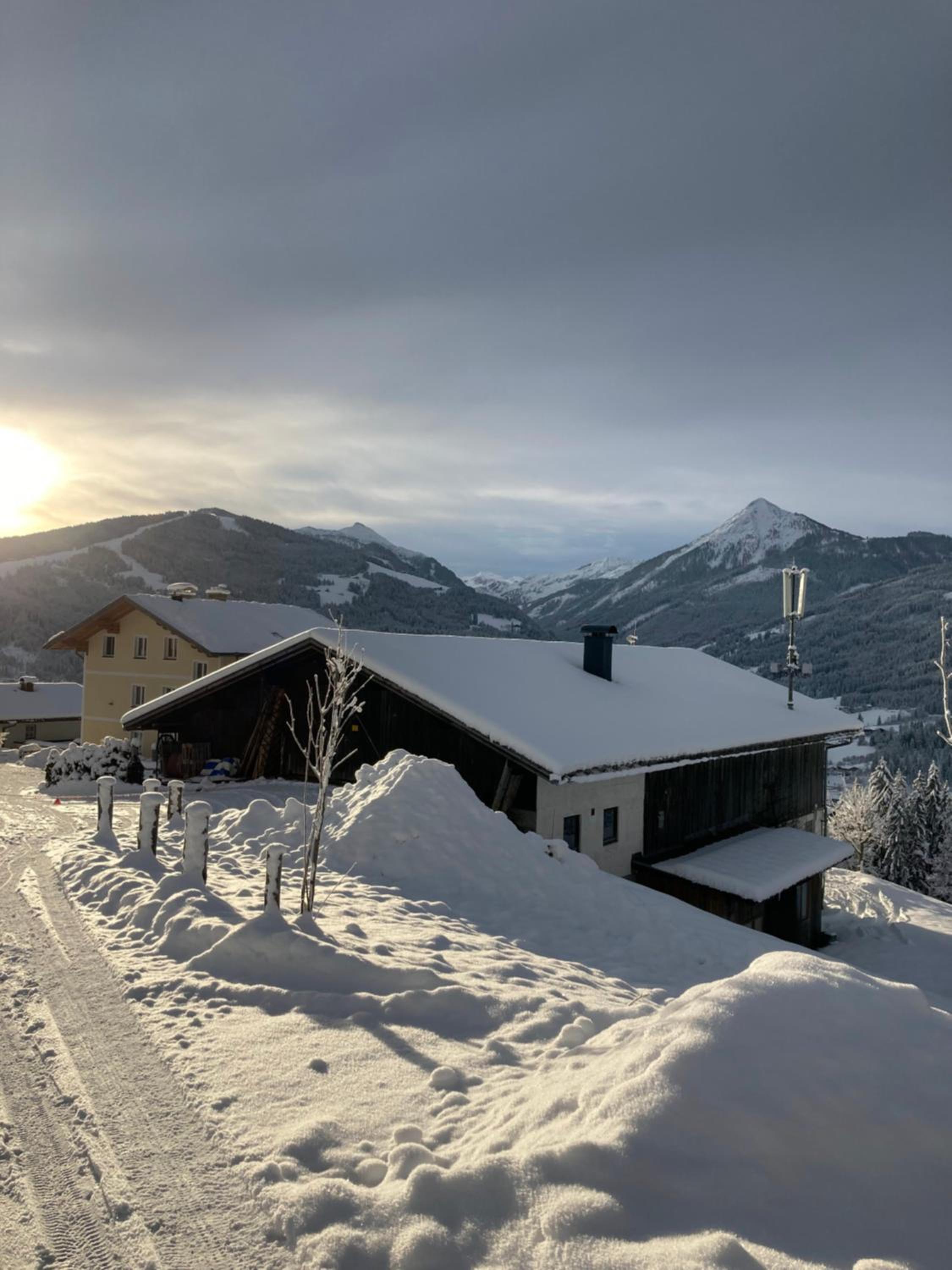 Heissgut