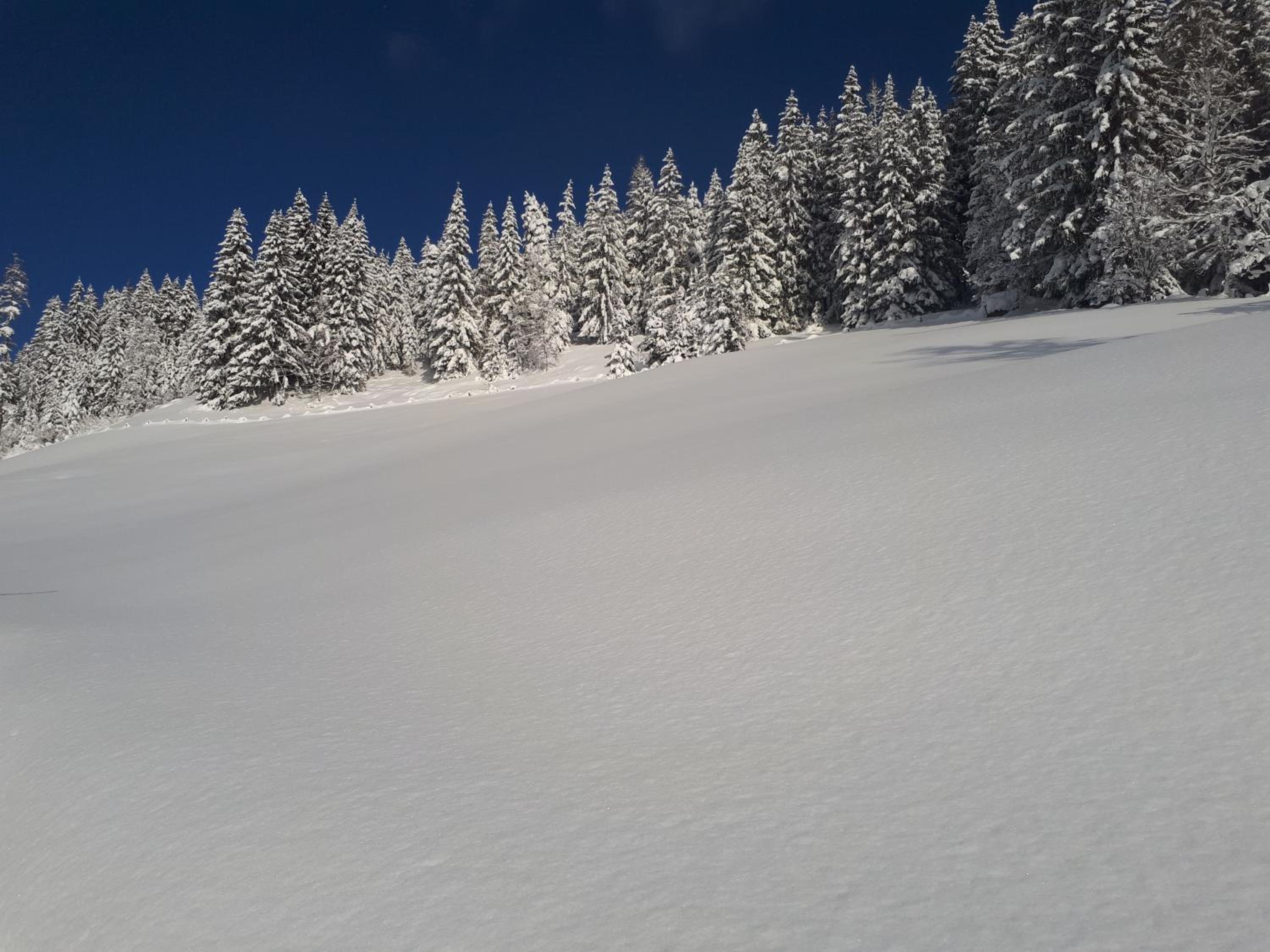 Heissgut