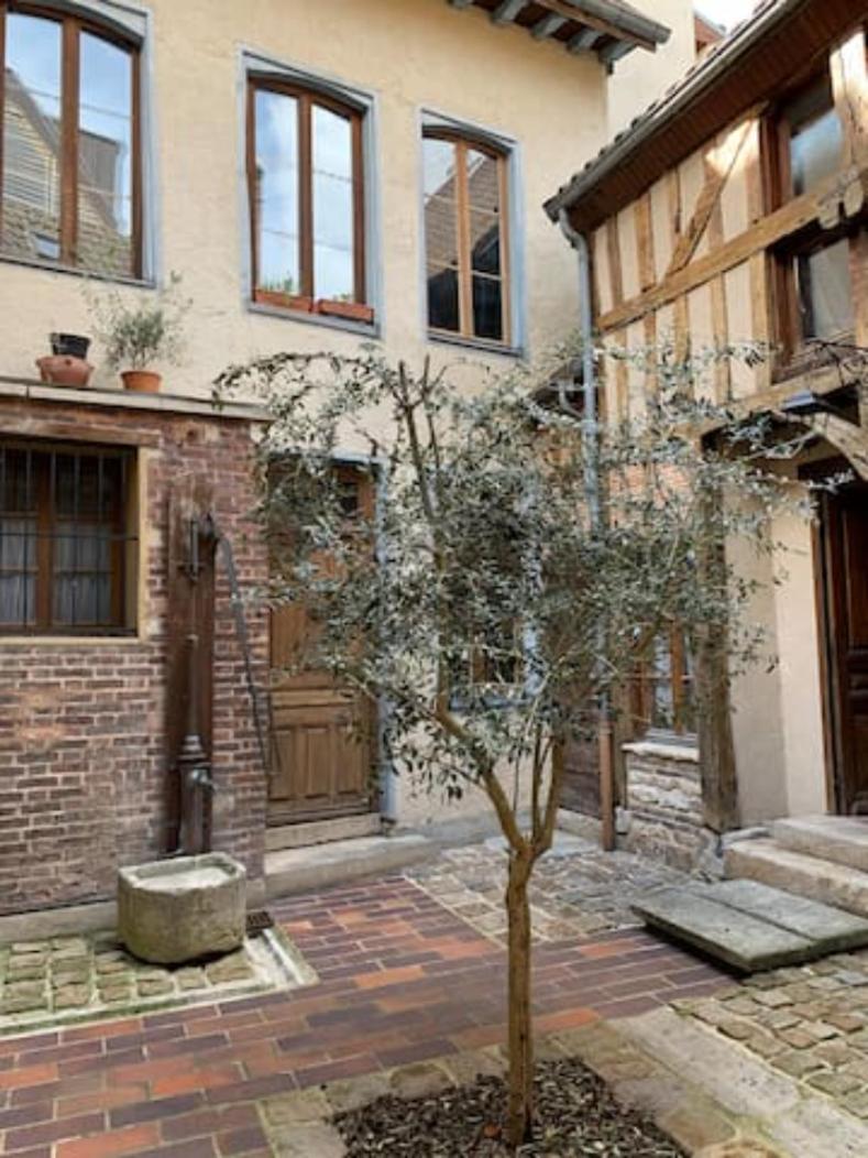 Aube berges de Troyes photo 3