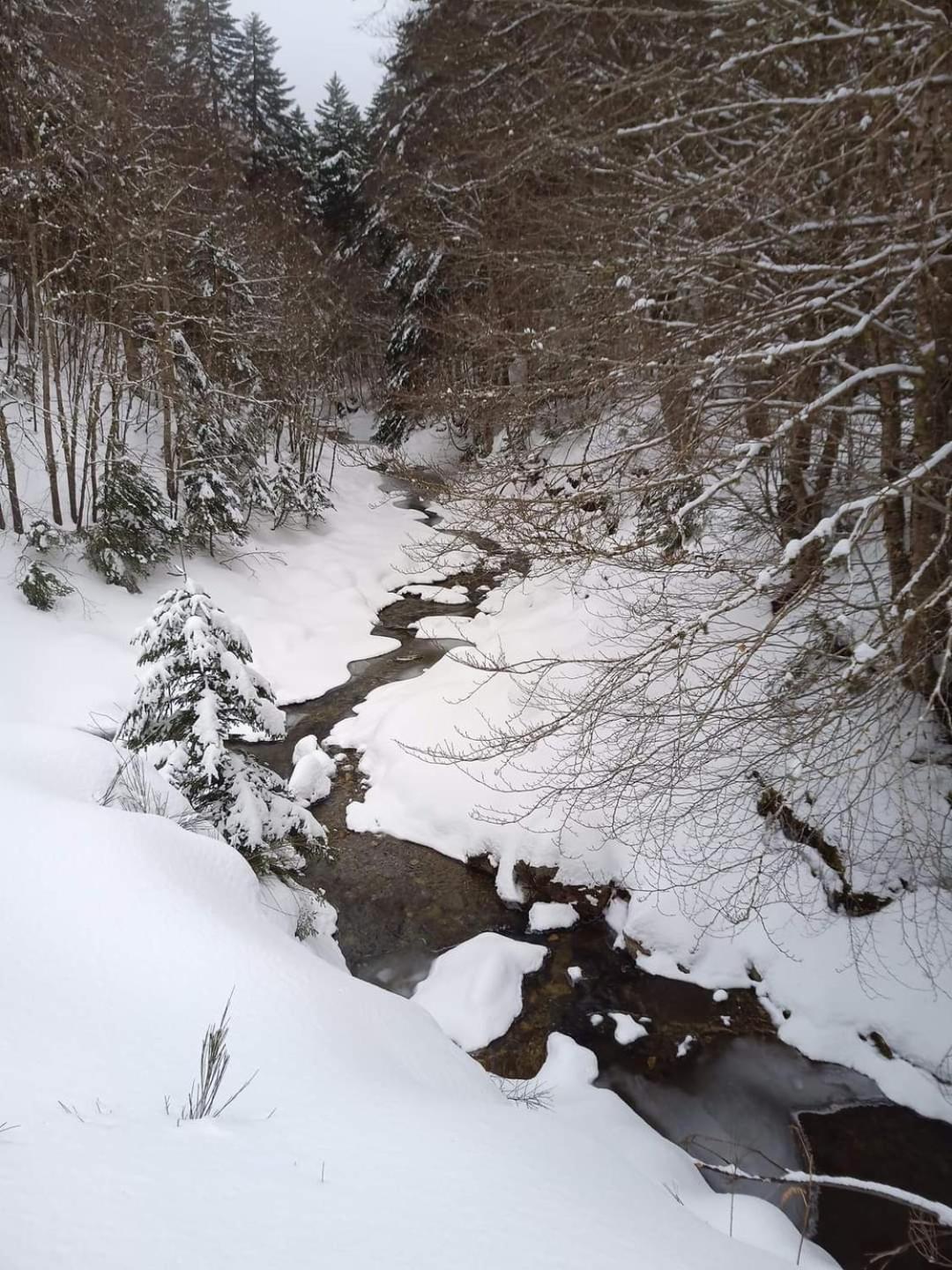 B&B Centrum Palmi, photo 18