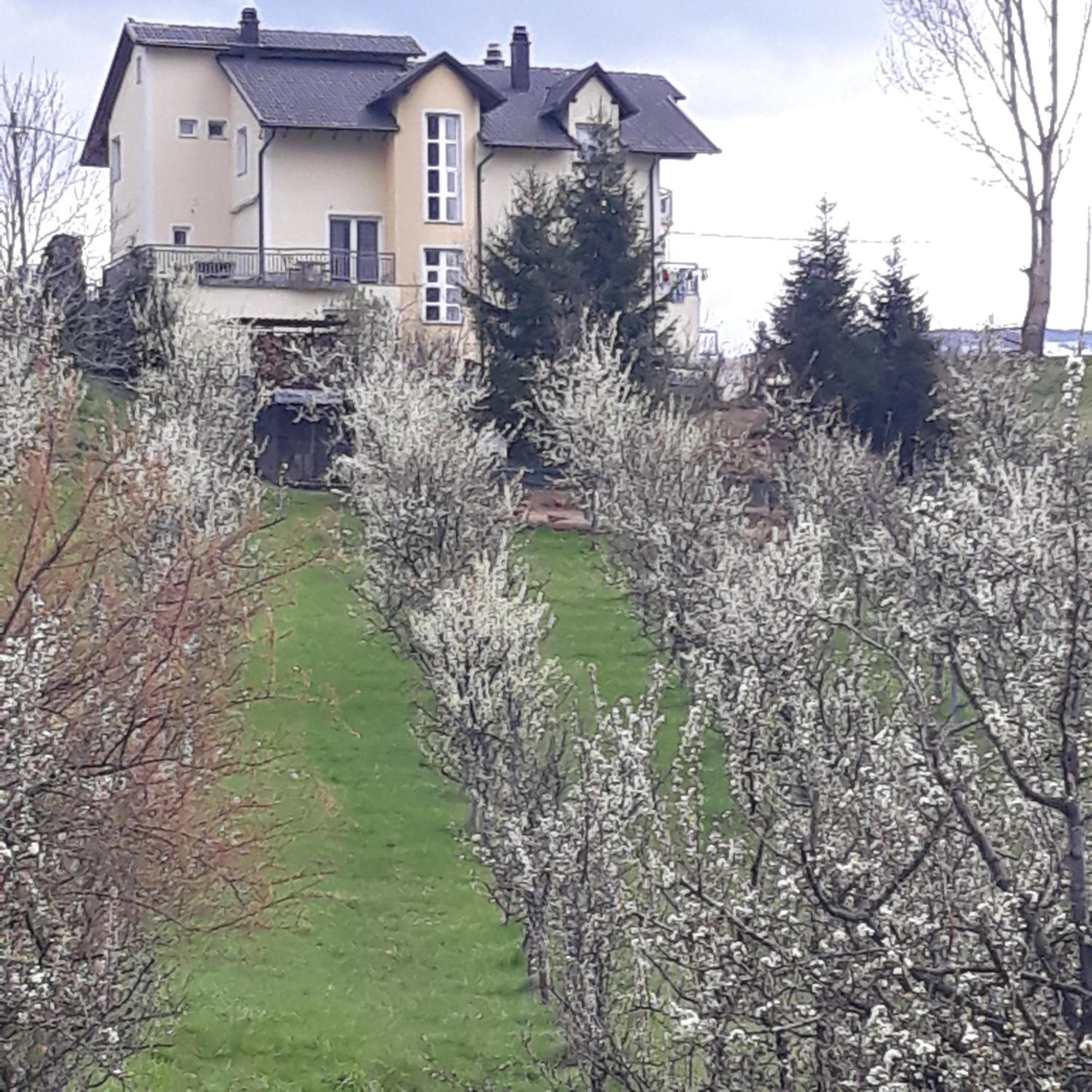Rooms & Apartment Jozić