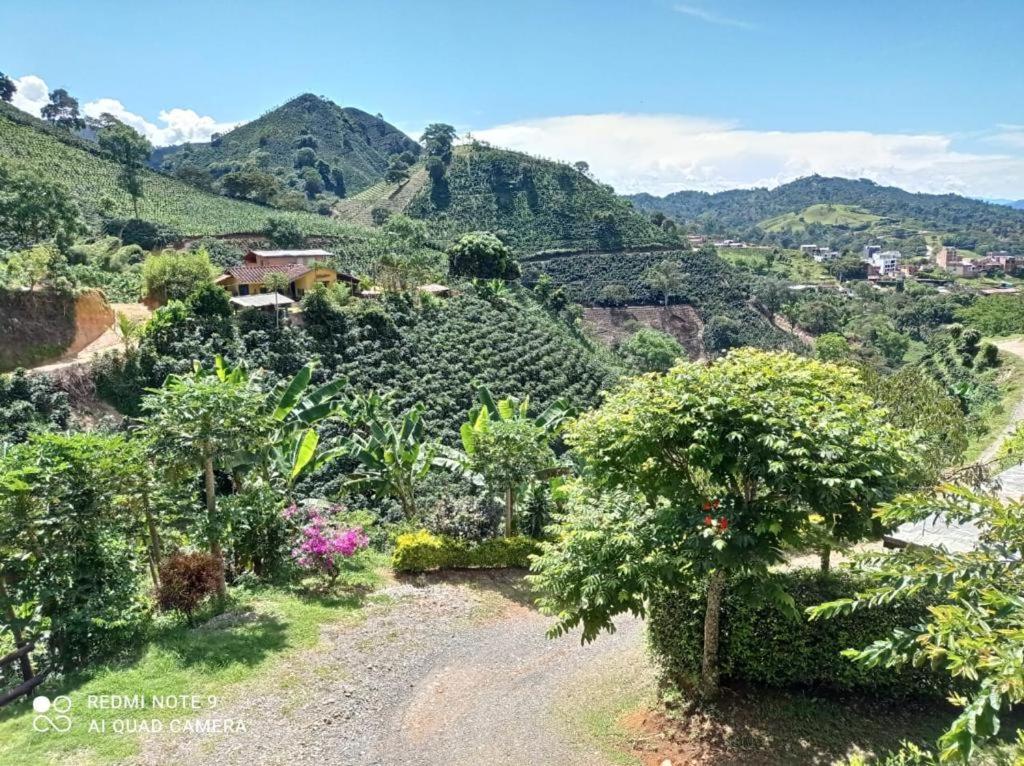 Alojamiento Rural Altos del Molino
