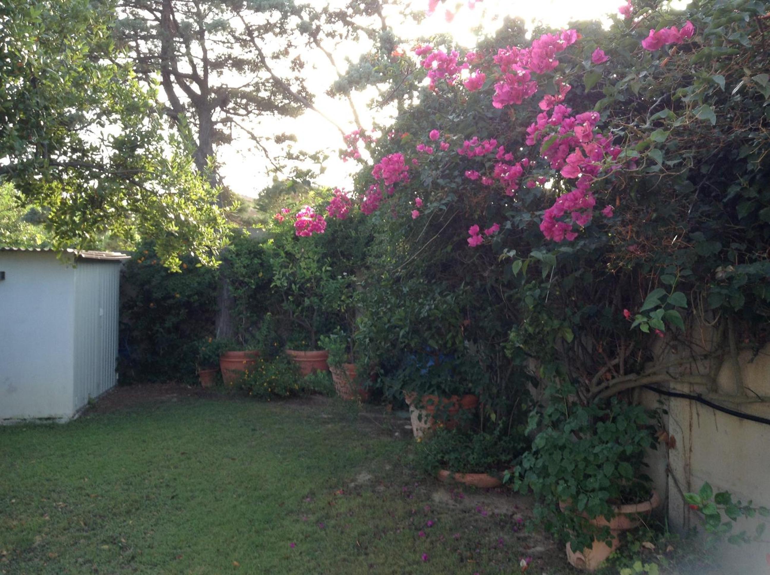 Deliziosa Villa 150 metri dal mare view 4