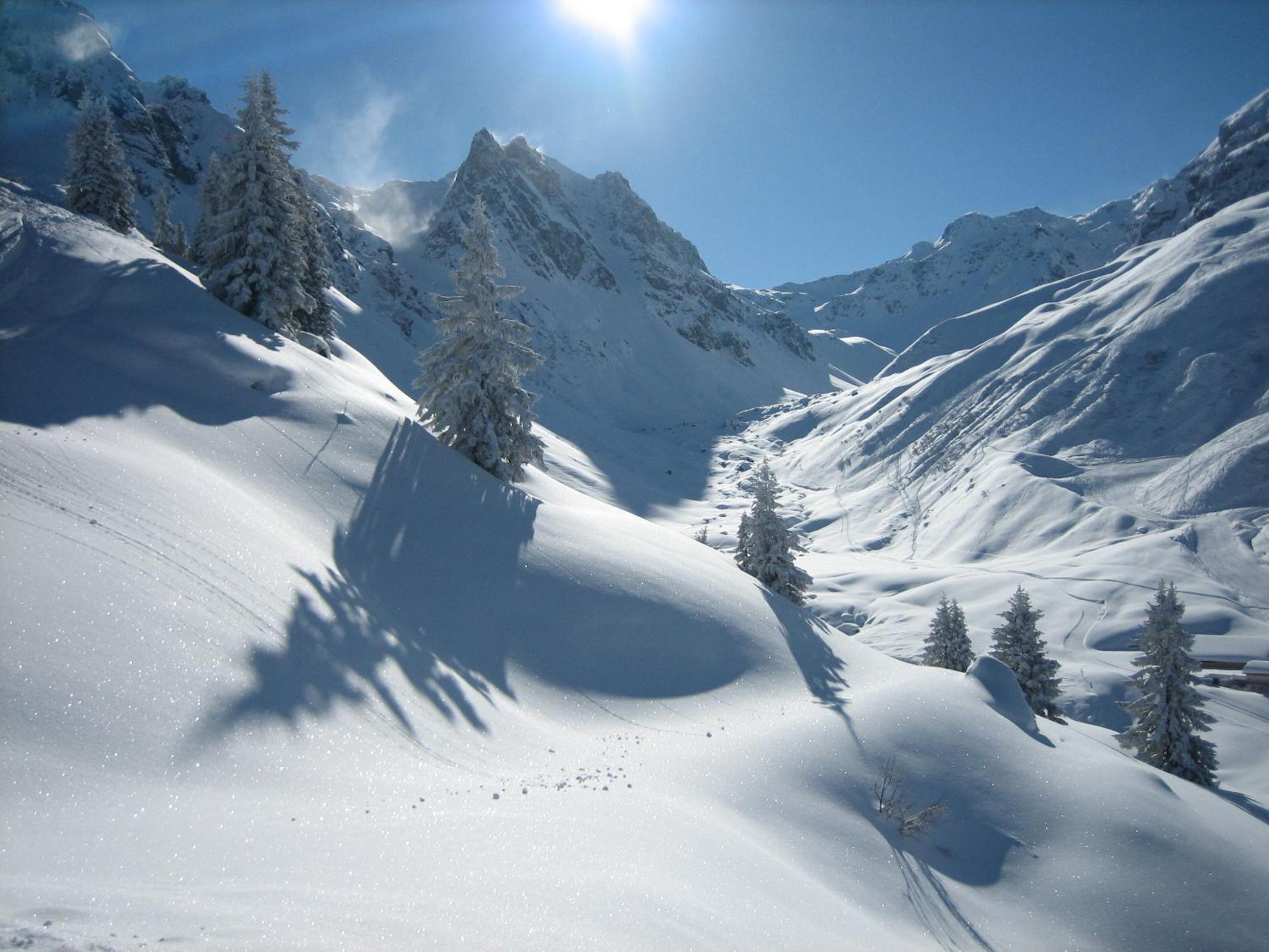 Chalet Alber
