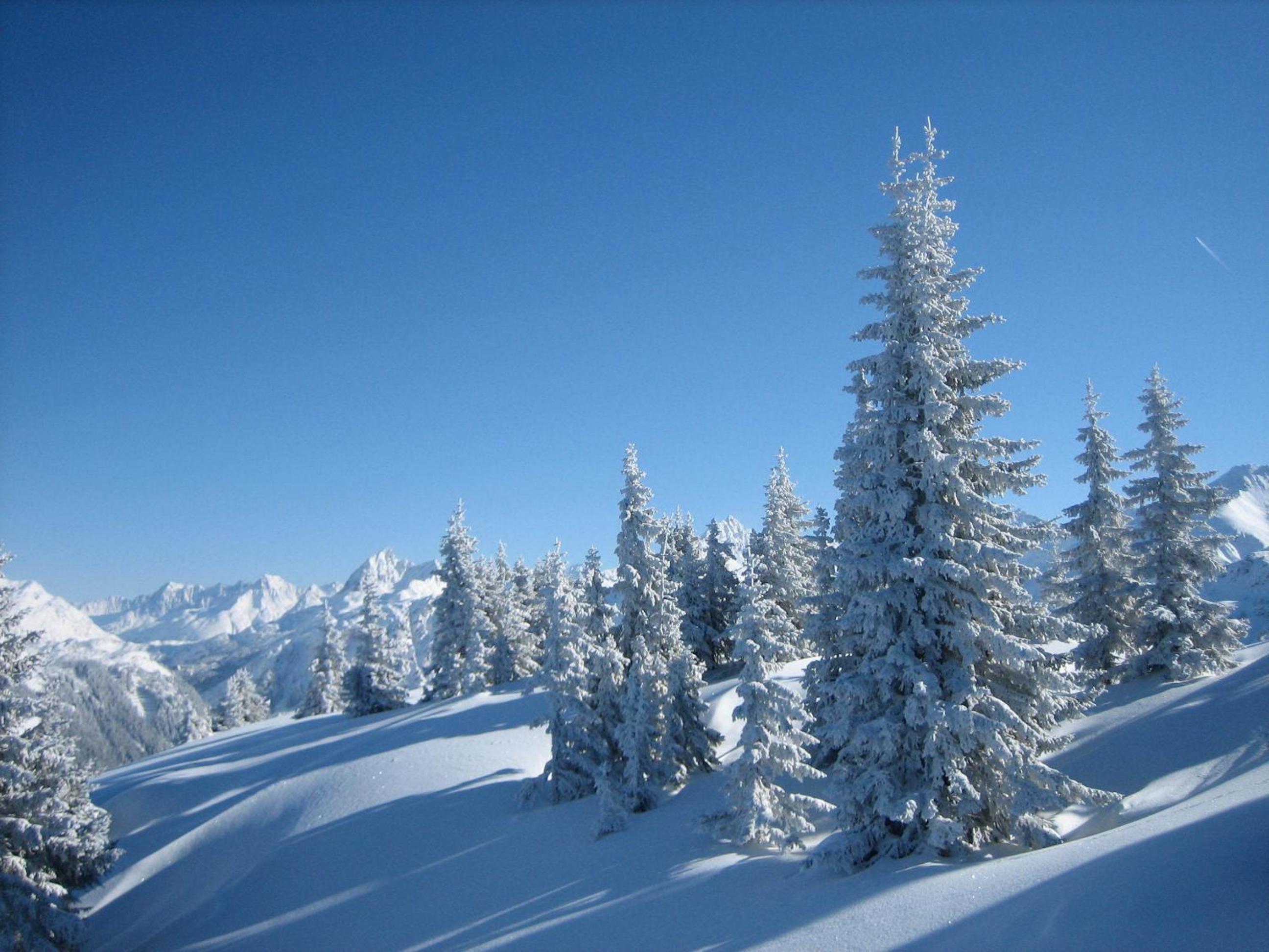 Chalet Alber