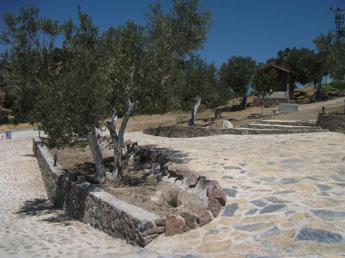 Photo 19