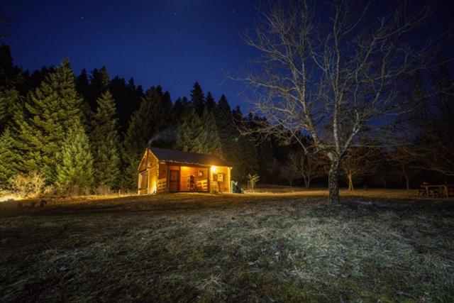 Wood Cabins by the River - for Nature Lovers view 3