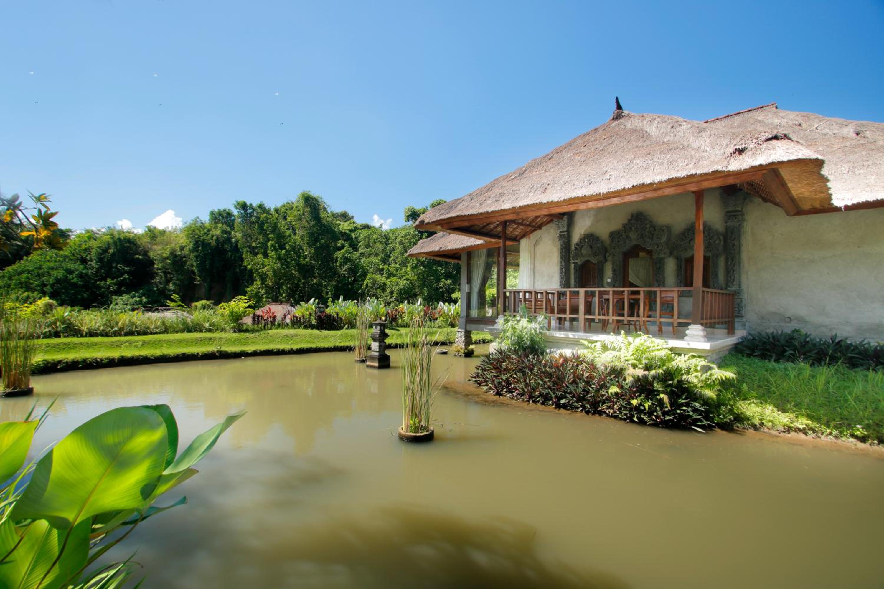 Photo 118