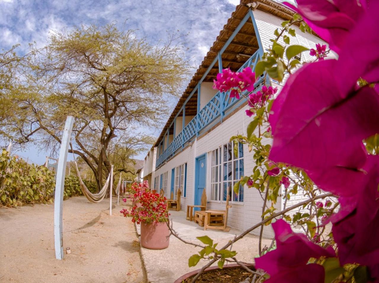 Playa del Ritmo Beach Hostel & Bar - Adults Only