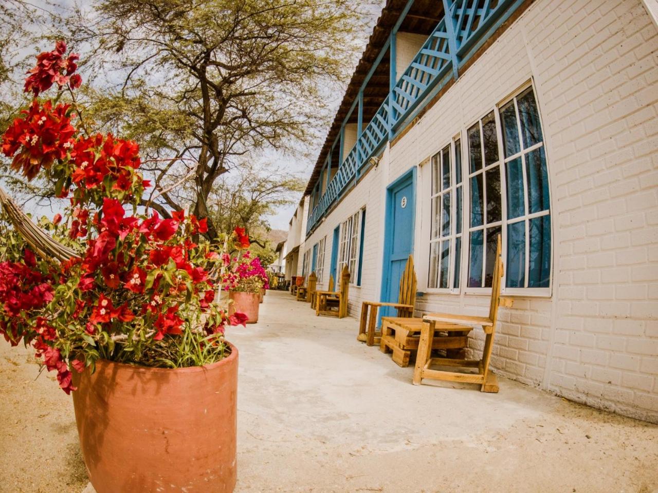 Playa del Ritmo Beach Hostel & Bar - Adults Only