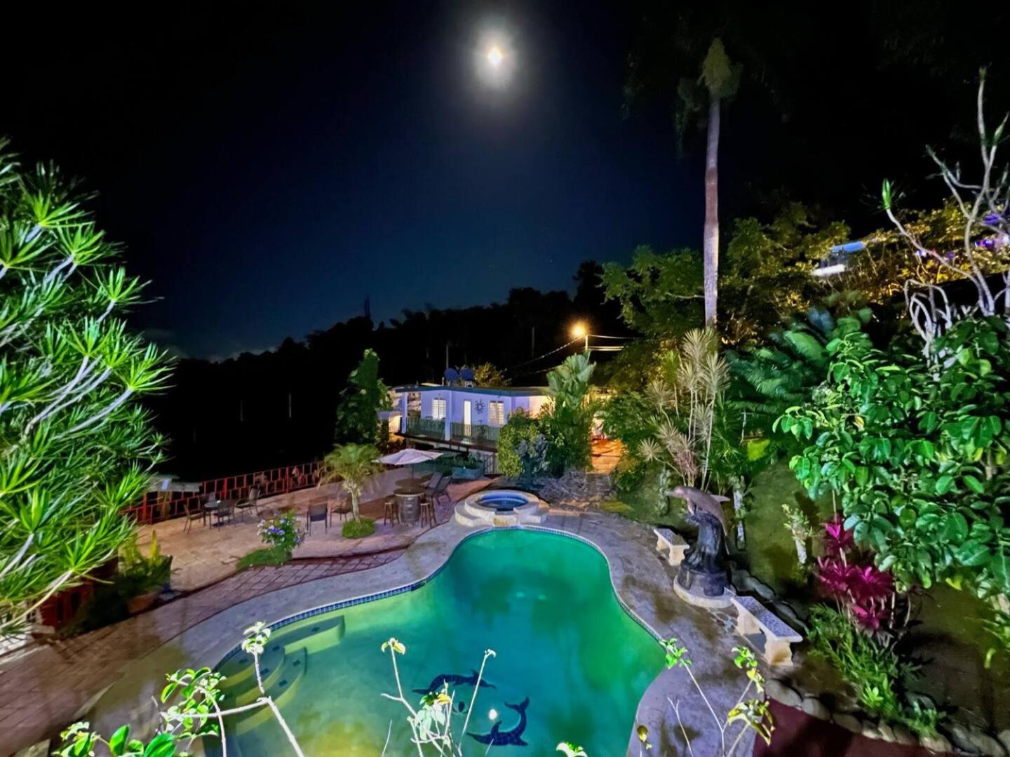Pancho's Paradise - Rainforest Guesthouse with Pool, Gazebo and View view 4