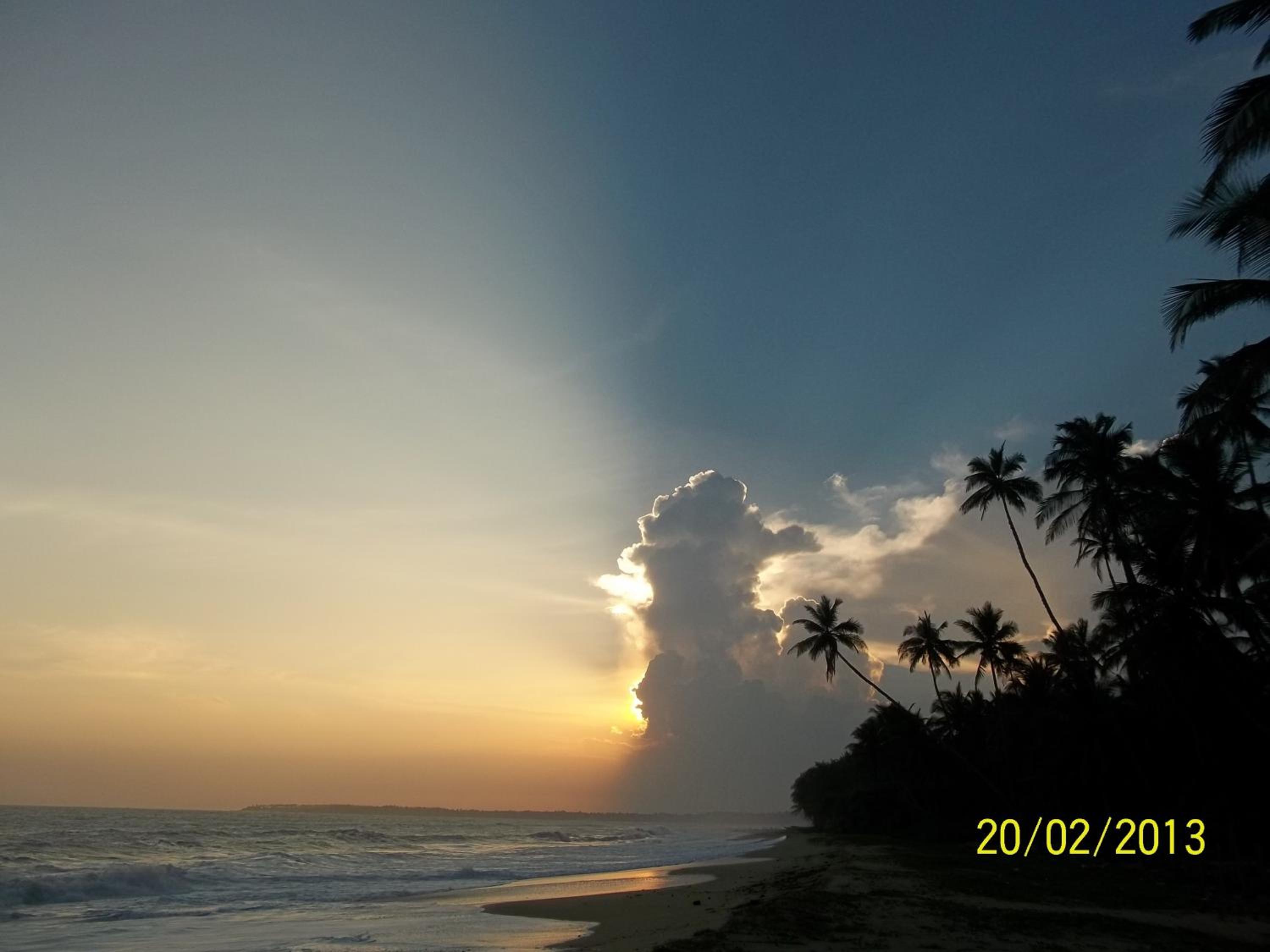Photo 35