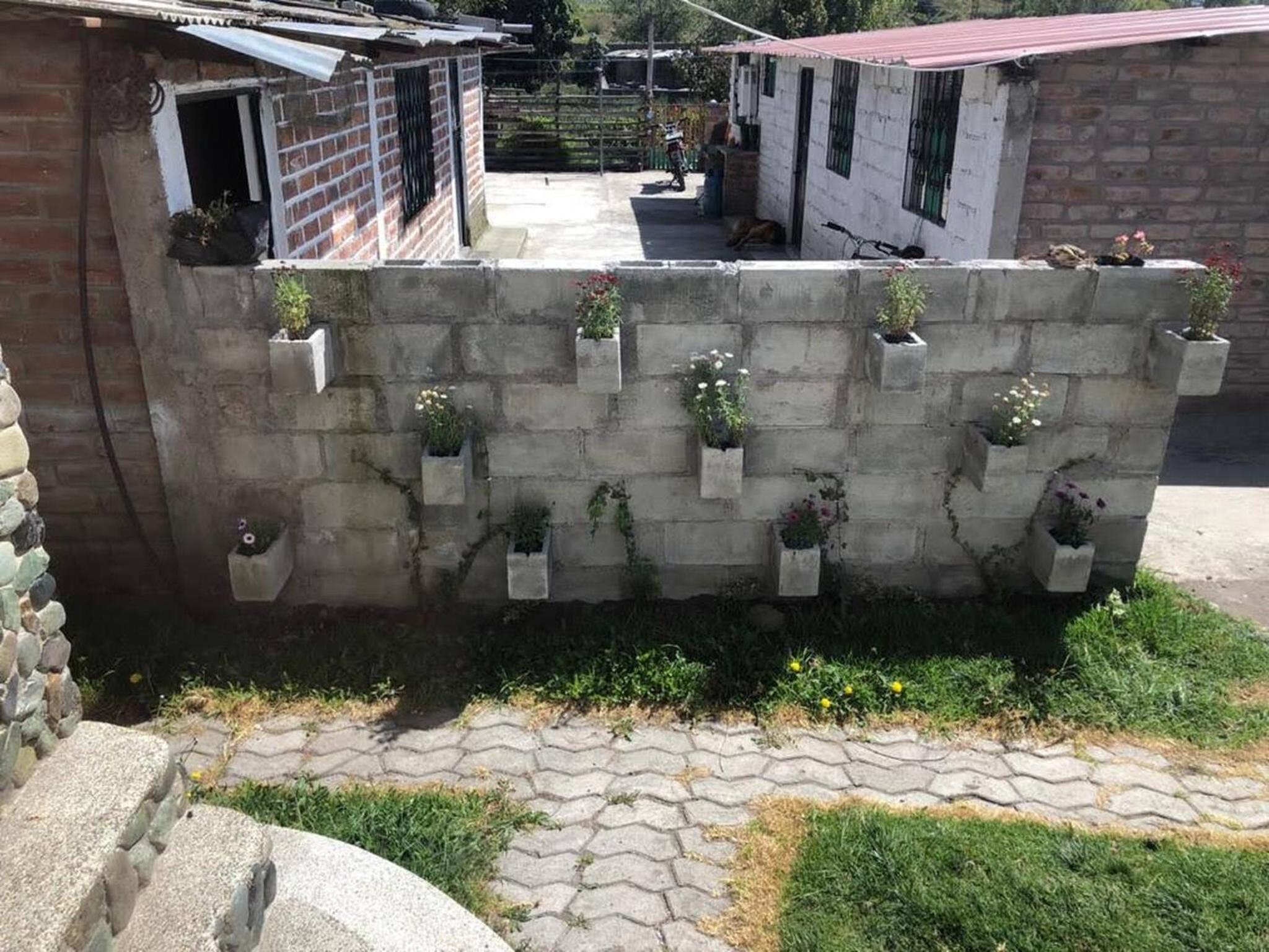 Photo 29